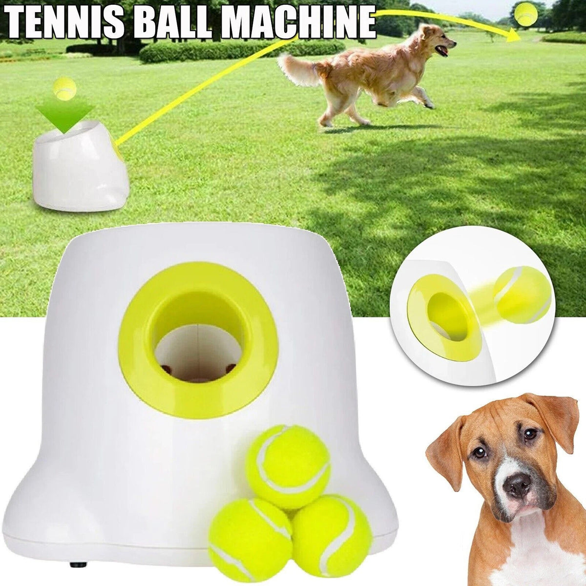 Flourescent Green Automatic Tennis Ball Thrower Machine For Dogs With 6 Balls