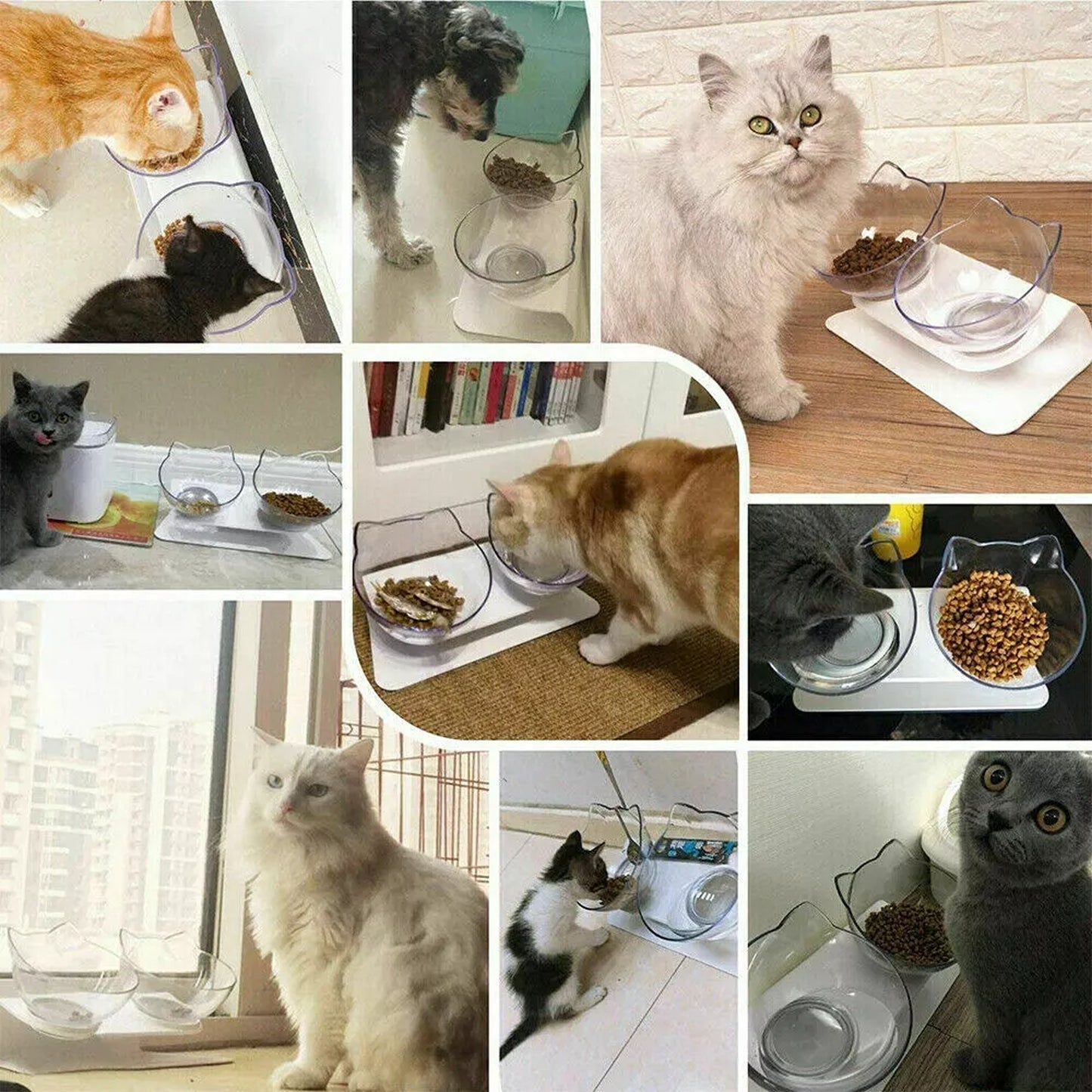 Double Raised Pet Bowls Stand Elevated Food Water Feeder for Cats Dogs
