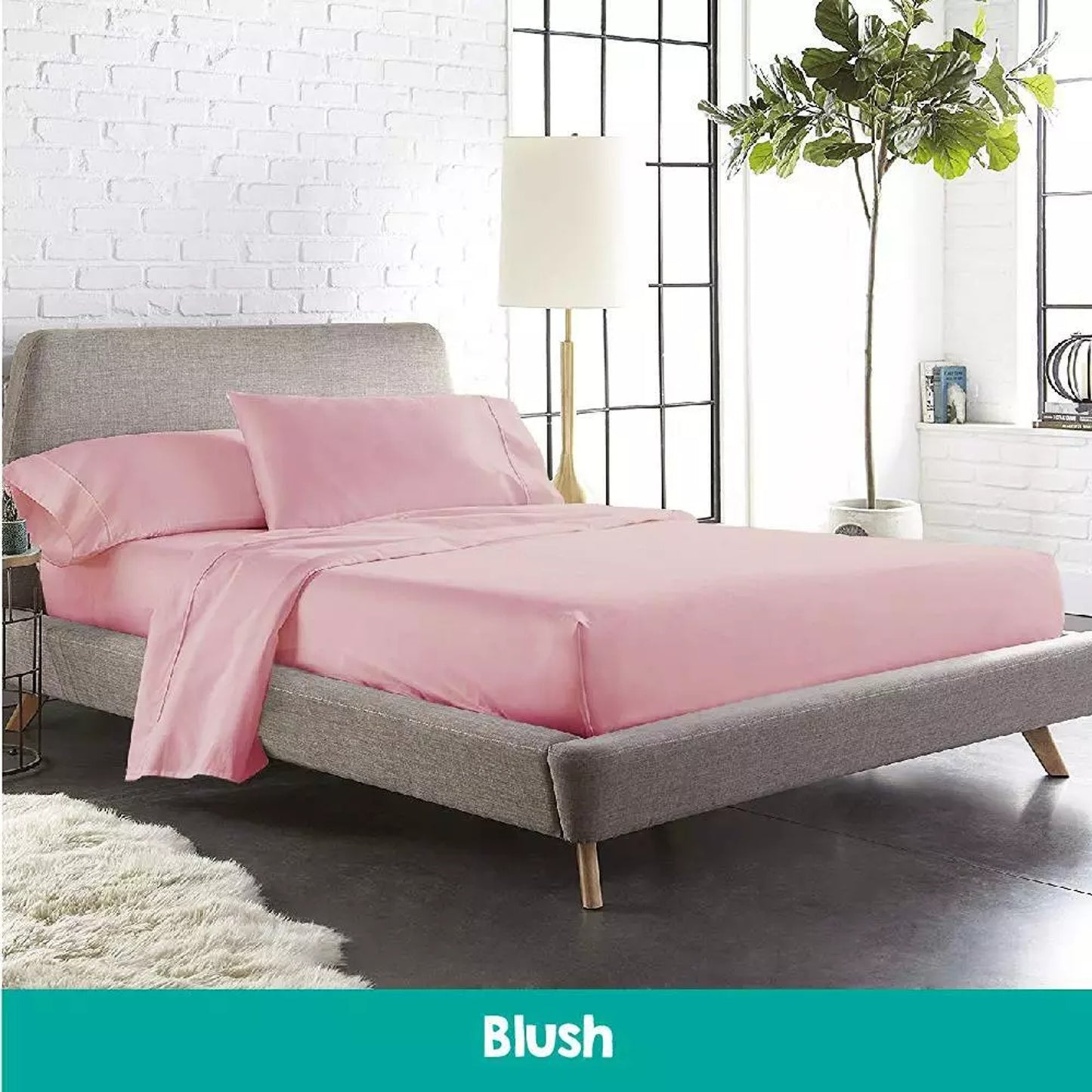 Soft 1000TC Cotton Sheet and Pillowcase Set for Single to King Beds - Blush
