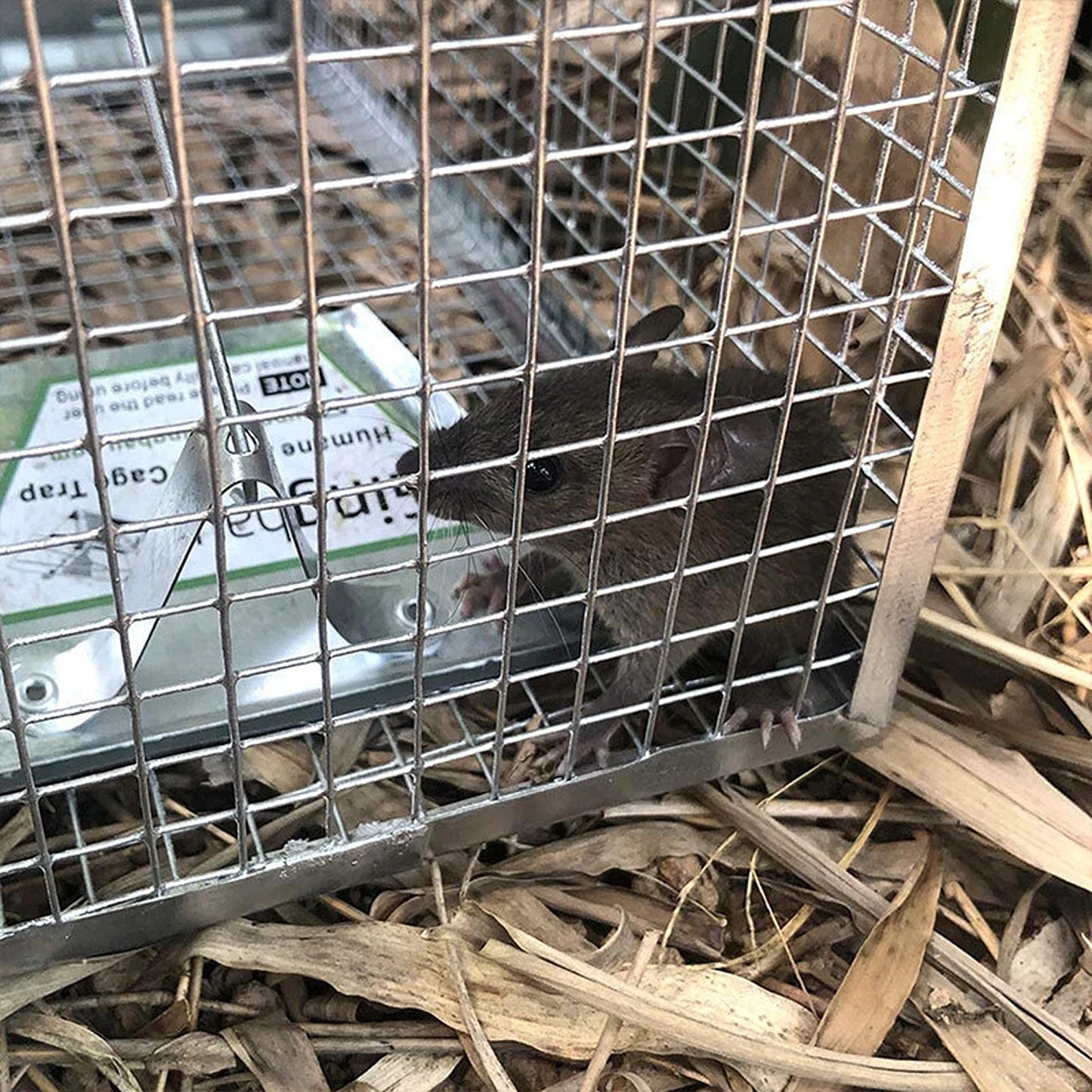 Humane Rat Trap Cage Live Animal Catch Box for Mice and Rodent Control