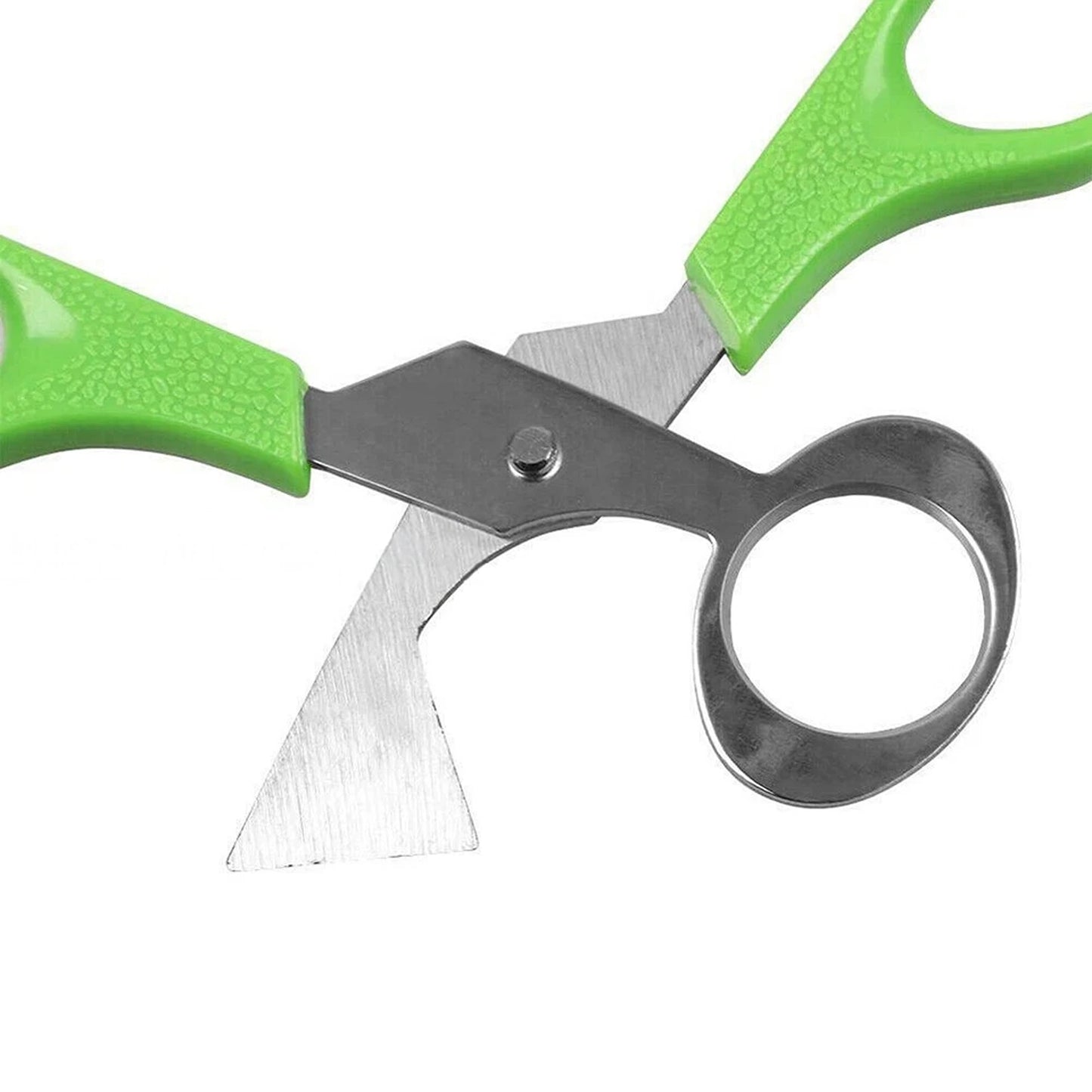 Stainless Steel Pigeon Quail Egg Scissor Birds Eggshell Cut Opener Creative