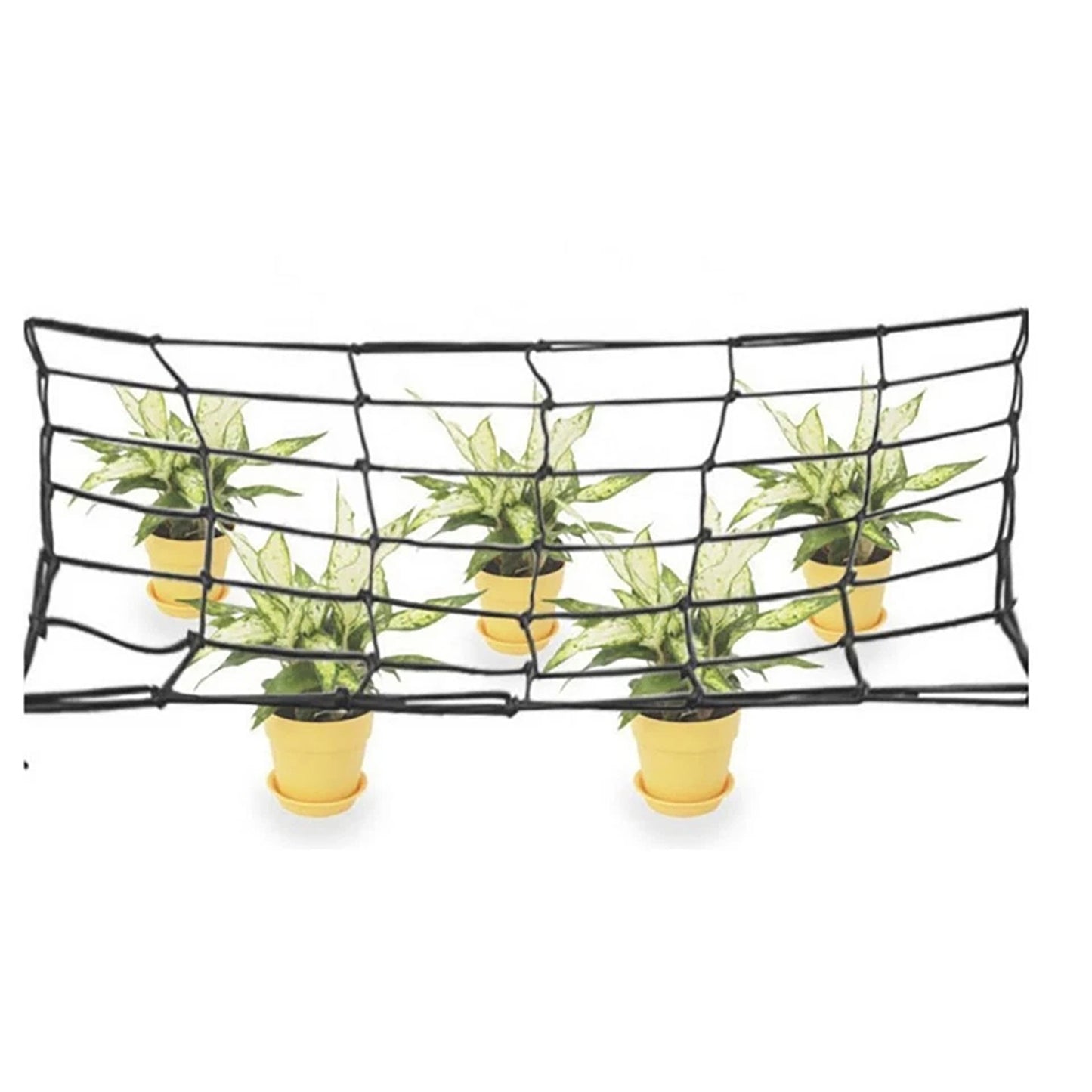 Elastic Trellis Net with Hooks for Grow Tents - 110 x 110cm