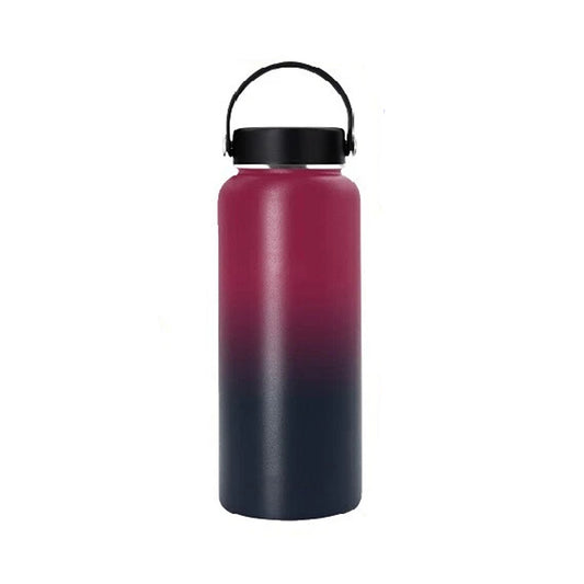 Stainless Steel Insulated Water Bottle with BPA Free Lid - Dark Rainbow