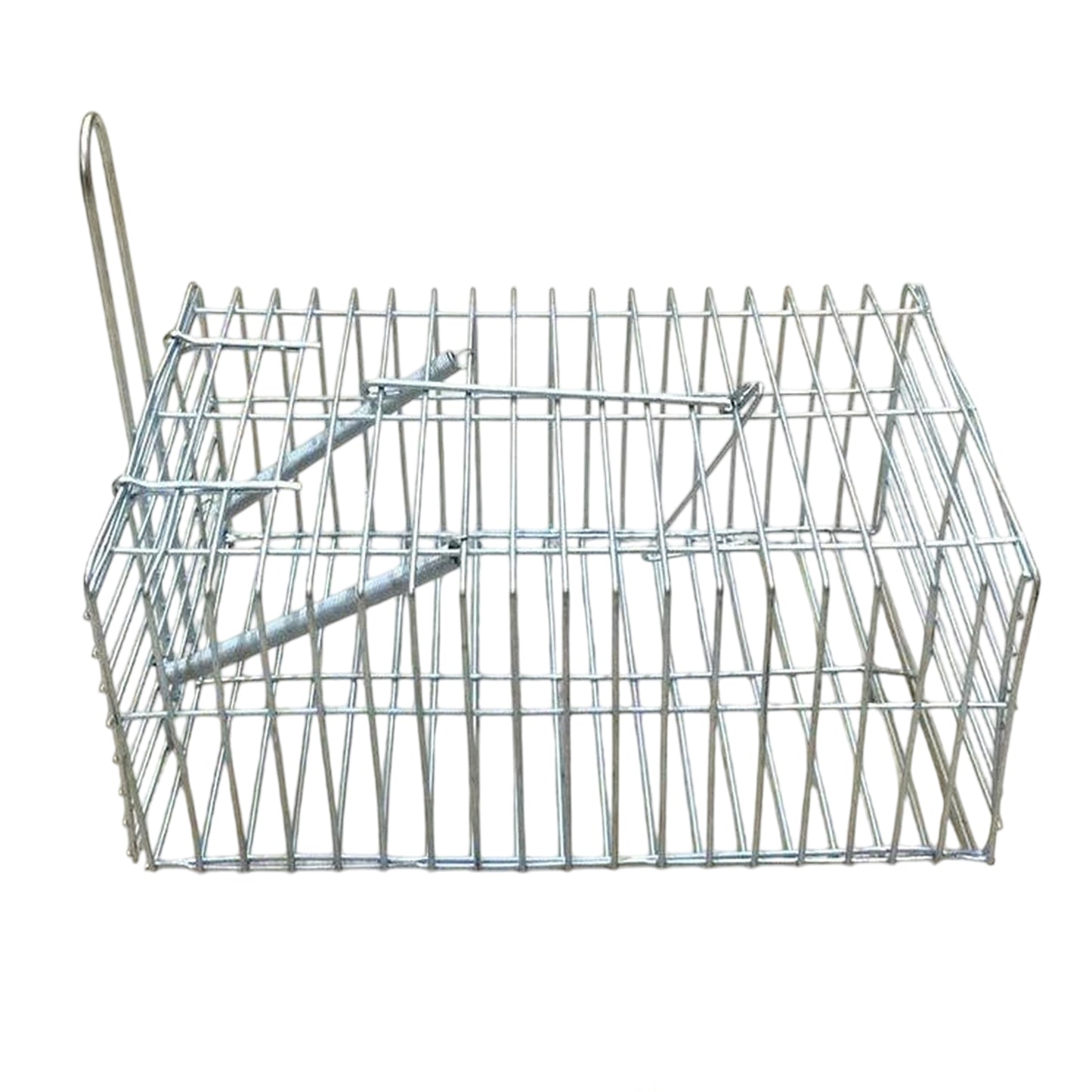 4 Pack Humane Rat Trap Cage Live Rodent and Mouse Control Bait Catcher