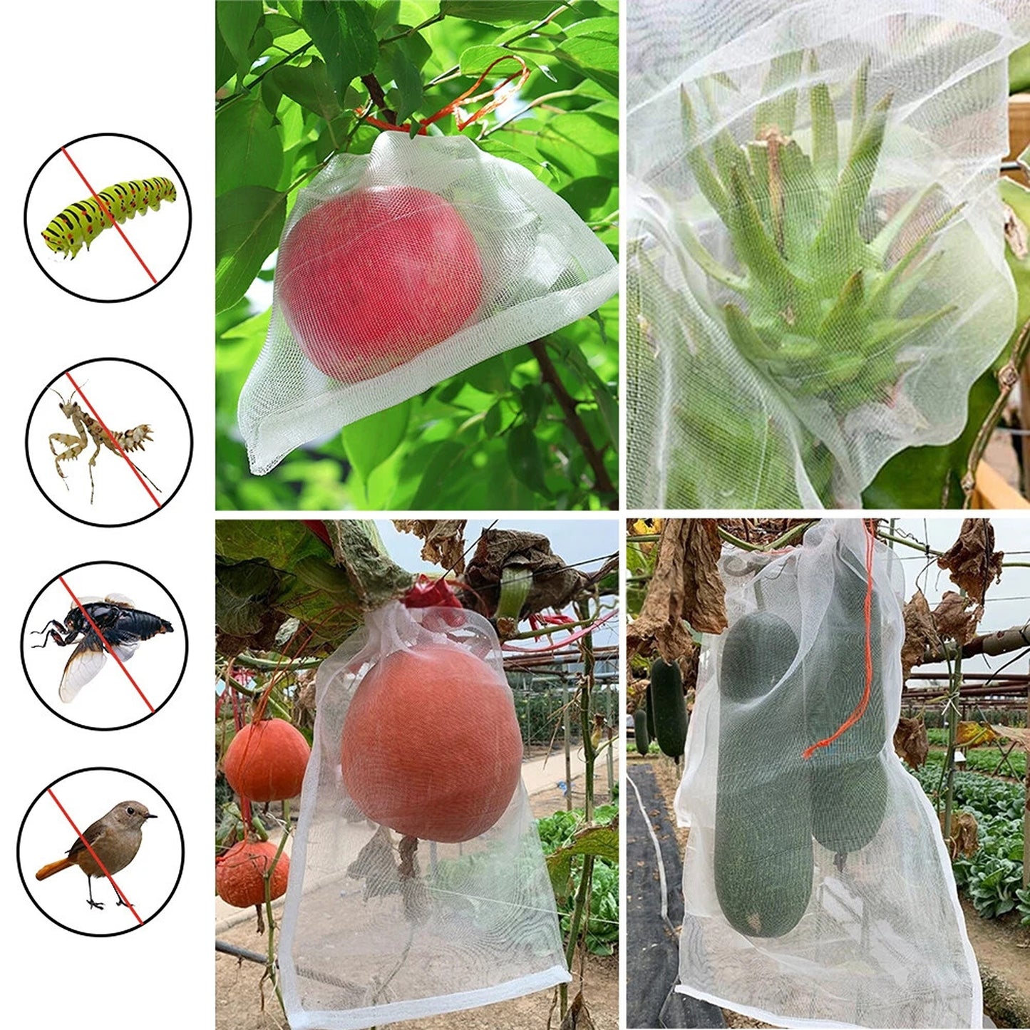 Garden Mesh Bags for Fruit and Vegetable Protection Insect Proof