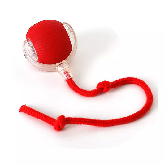Automatic Rolling Ball Toy for Cats and Dogs Electric Pet Toy