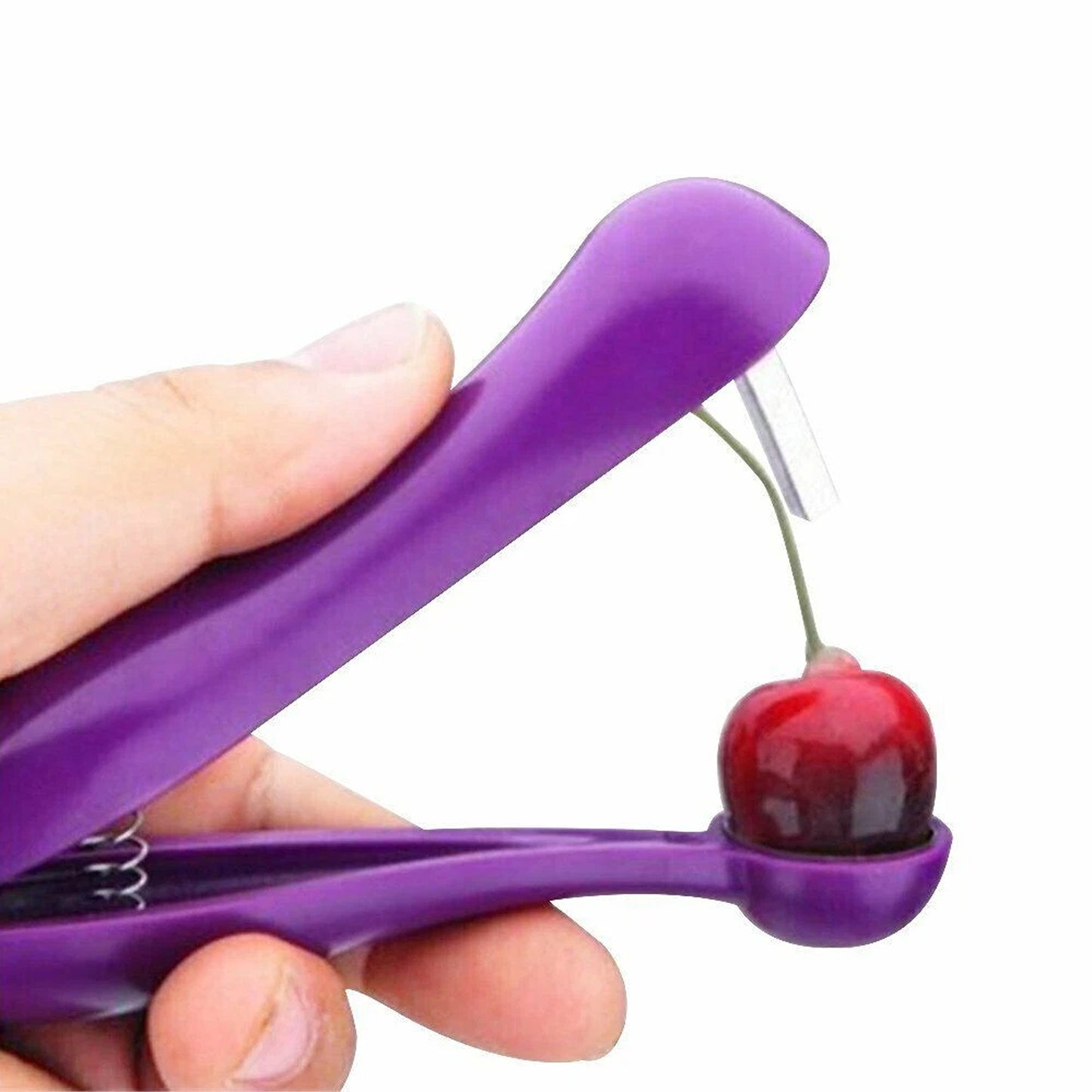 Cherry Seed Remover Stainless Steel Olive and Fruit Pitter Tool