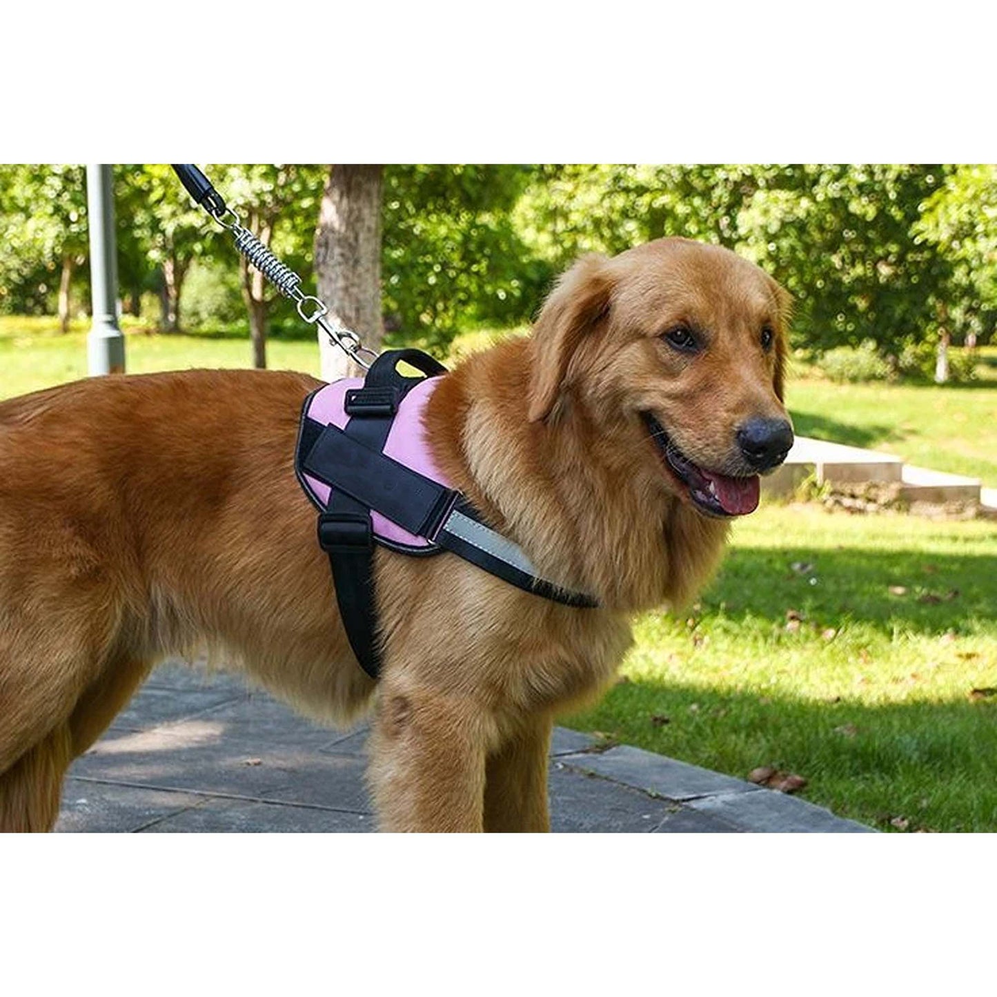 Pink Breathable Vest Harness for Puppies Dogs and Cats