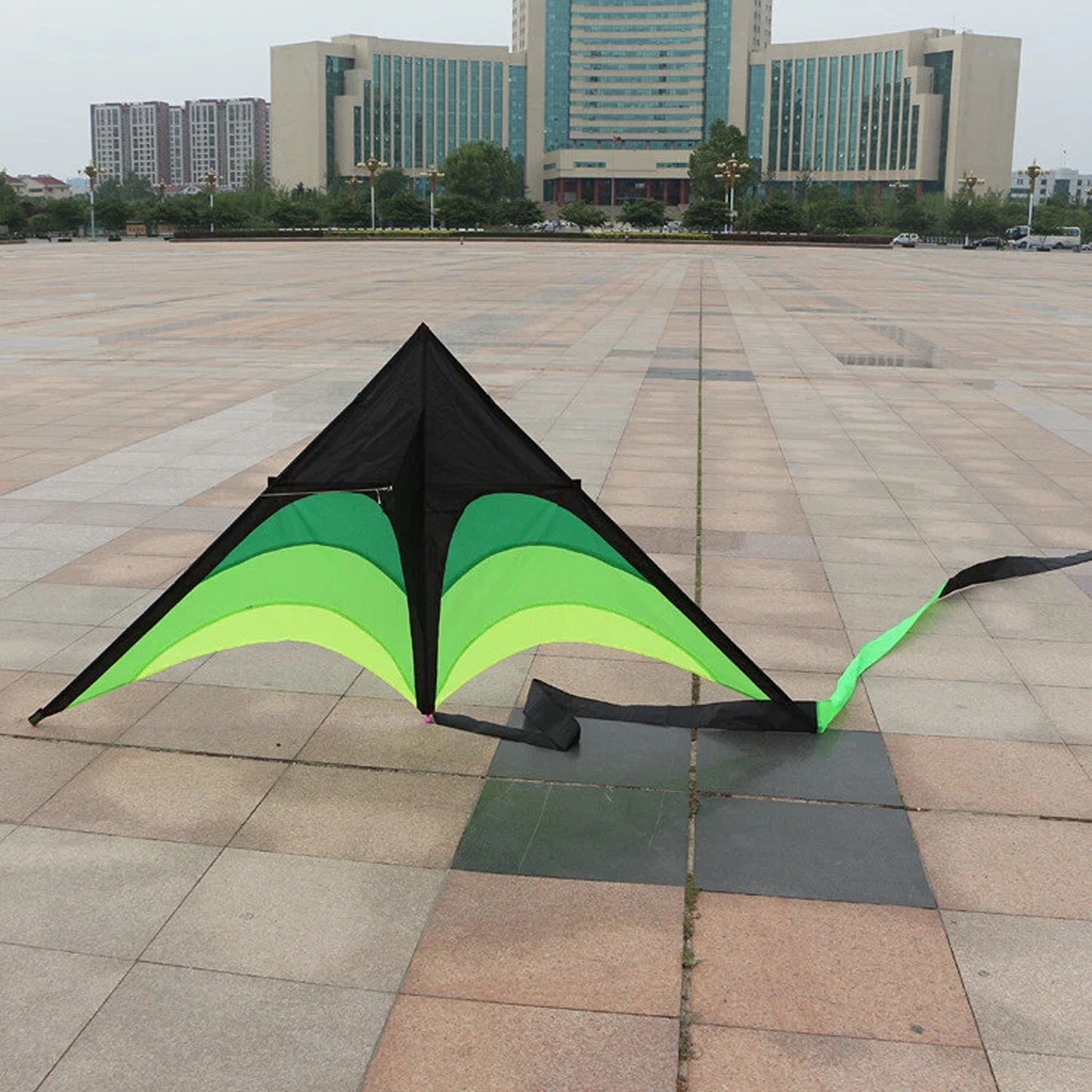 Large Delta Stunt Kite Kit with Wheel Line and Tail for Kids