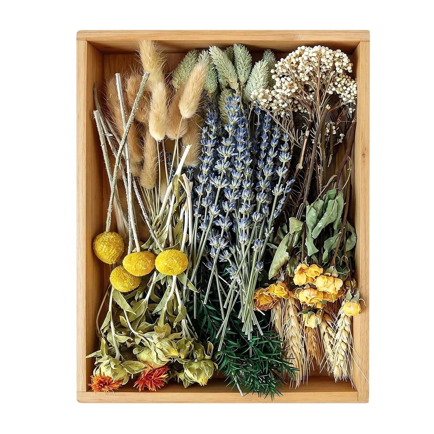 Natural Dried Flower Bouquet with Stems for Home Decor