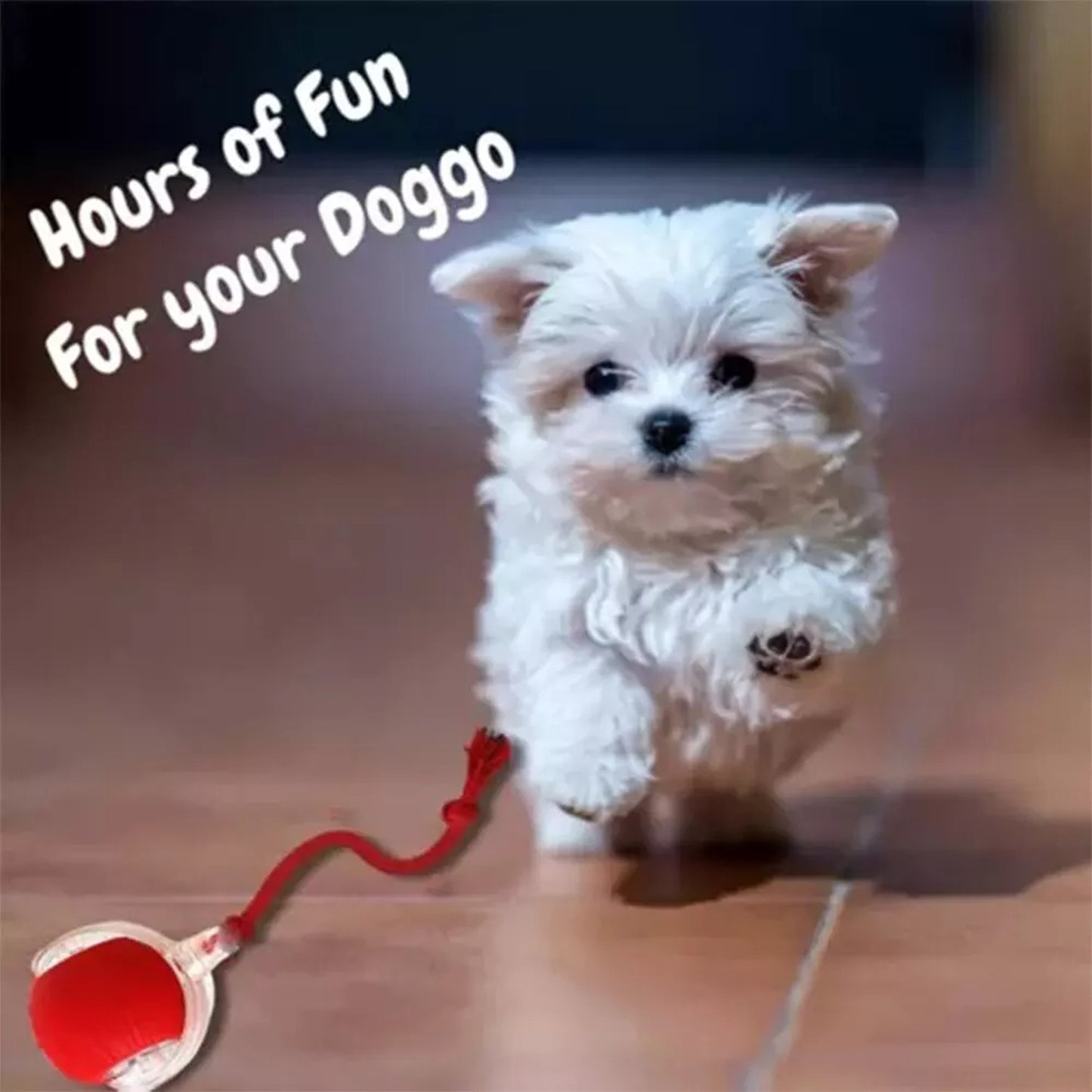 Automatic Rolling Ball Toy for Cats and Dogs Electric Pet Toy