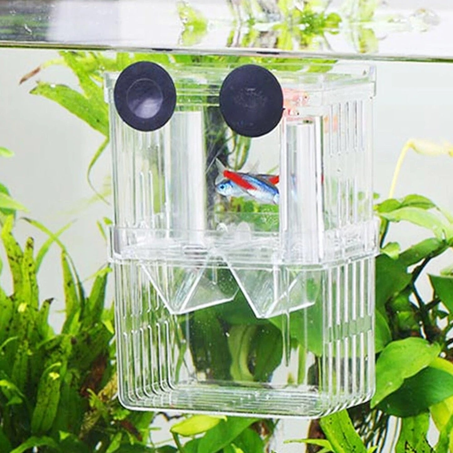 Multifunction Aquarium Fish Breeding and Isolation Box