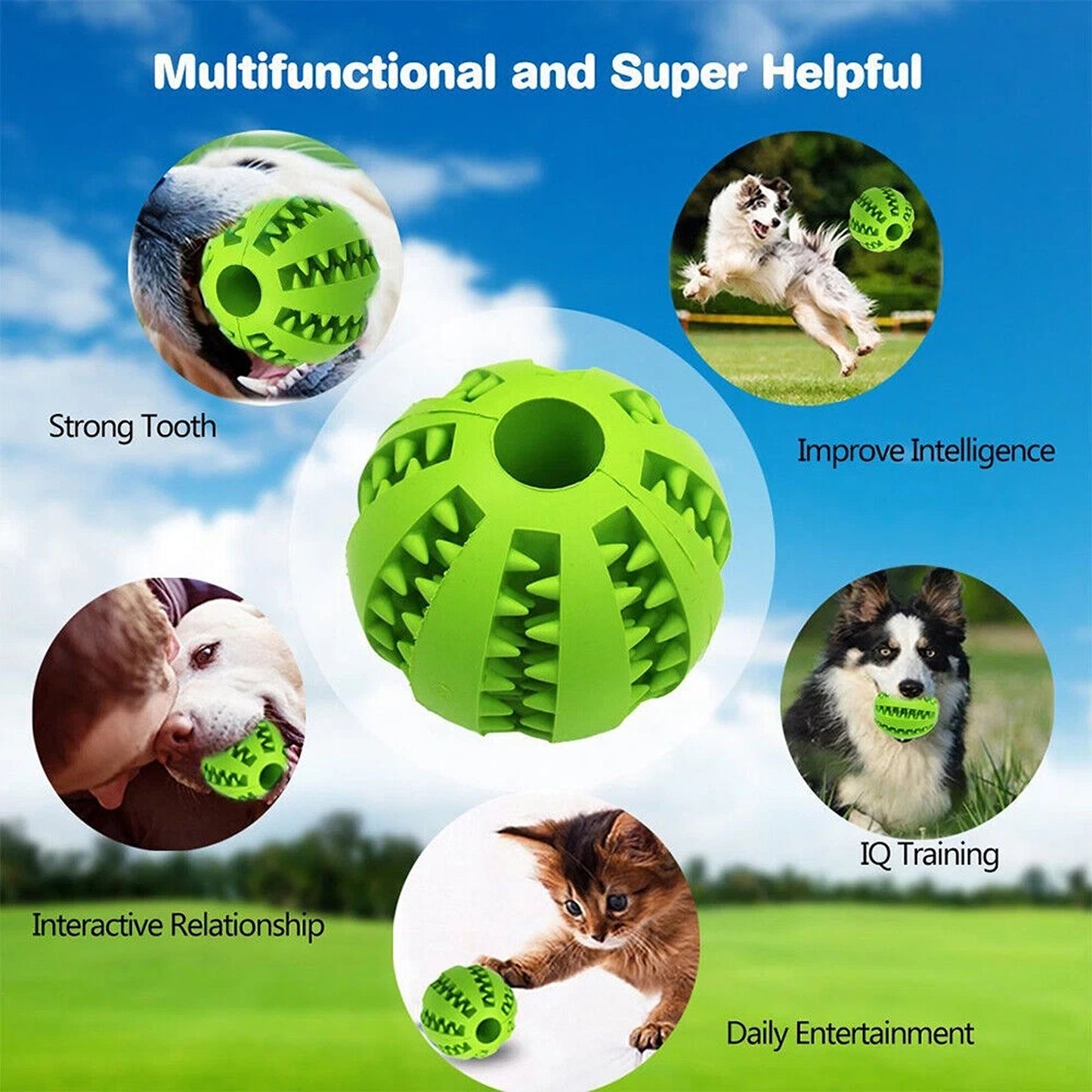 Green Dog Training Play Toy with Treat Holder