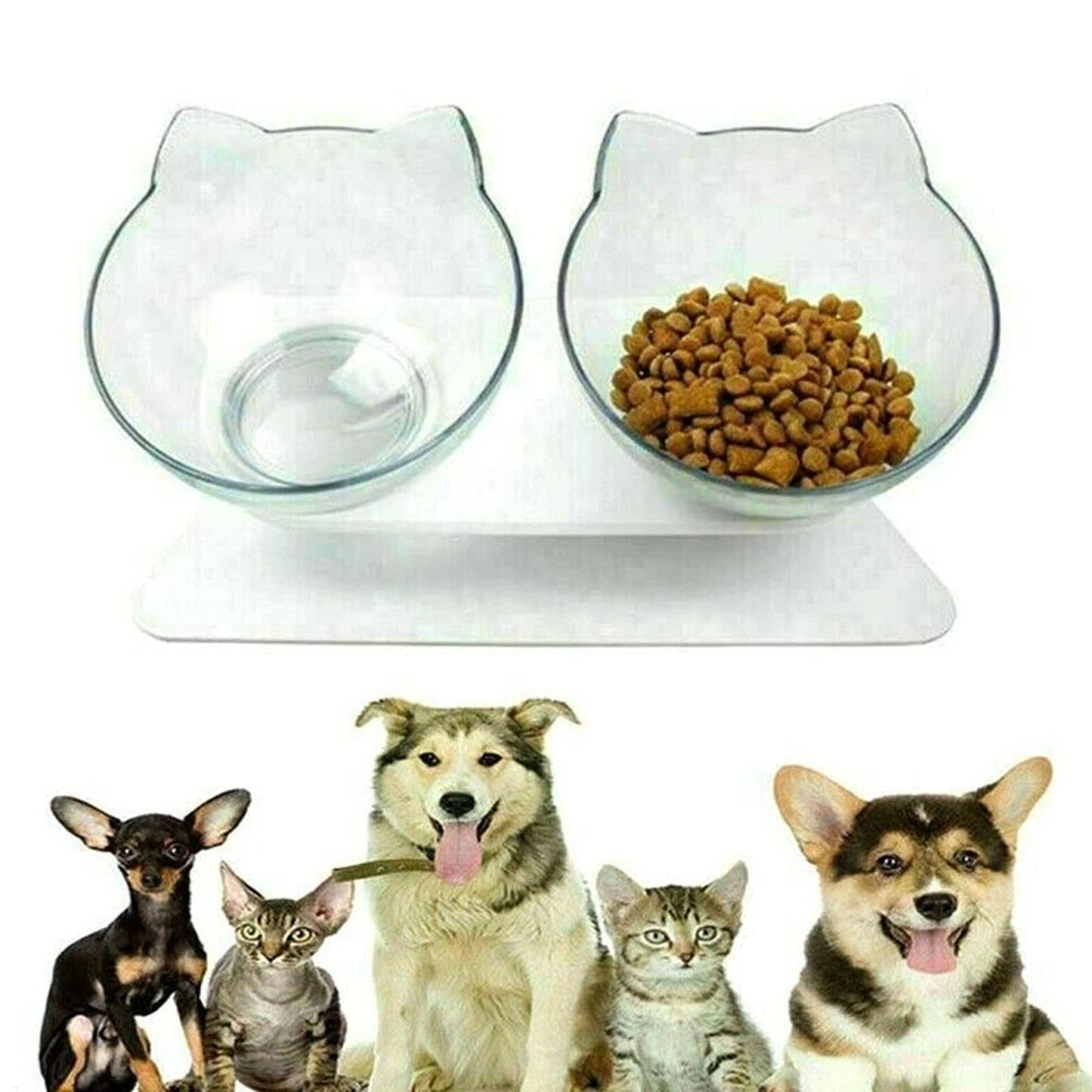 Double Raised Pet Bowls Stand Elevated Food Water Feeder for Cats Dogs