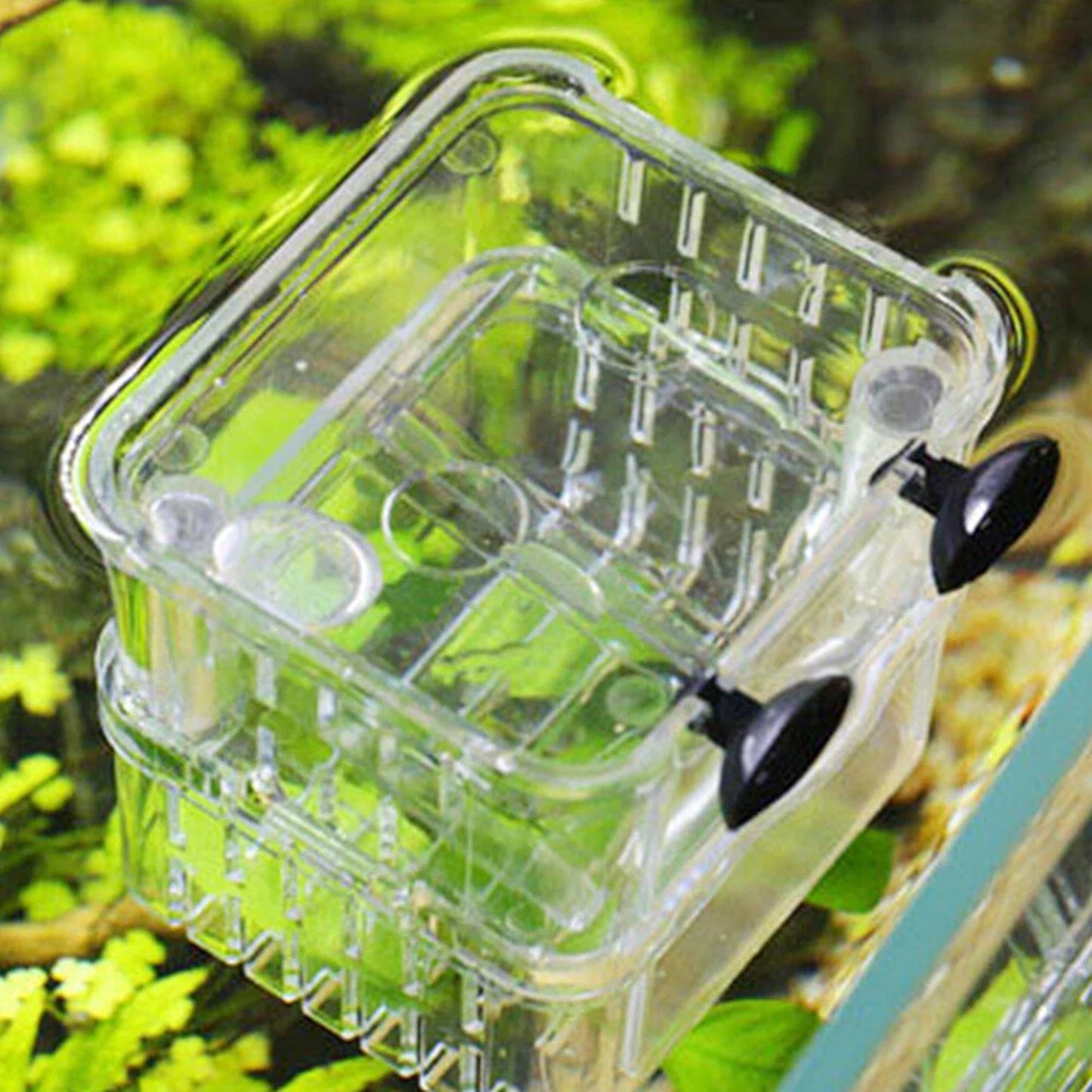 Multifunction Aquarium Fish Breeding and Isolation Box