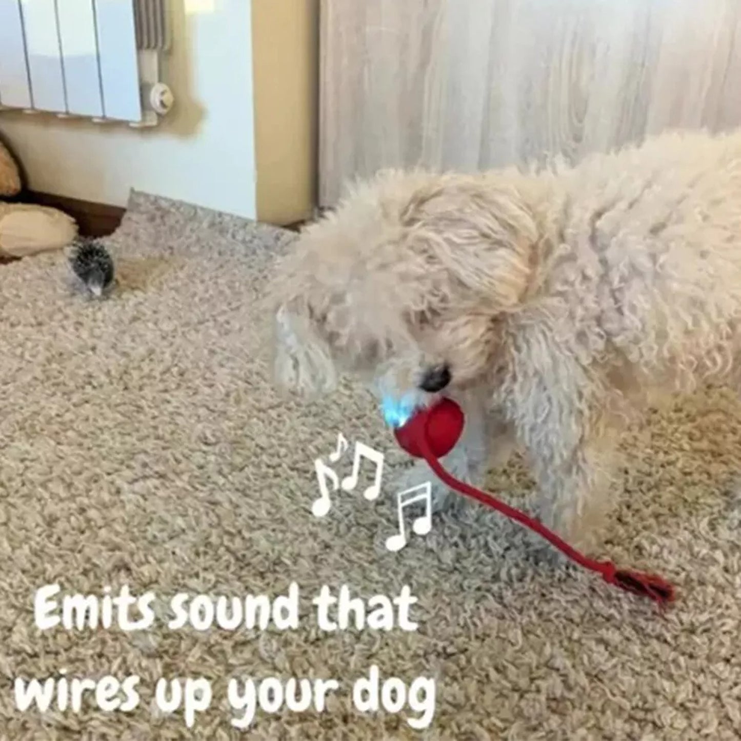 Automatic Rolling Ball Toy for Cats and Dogs Electric Pet Toy