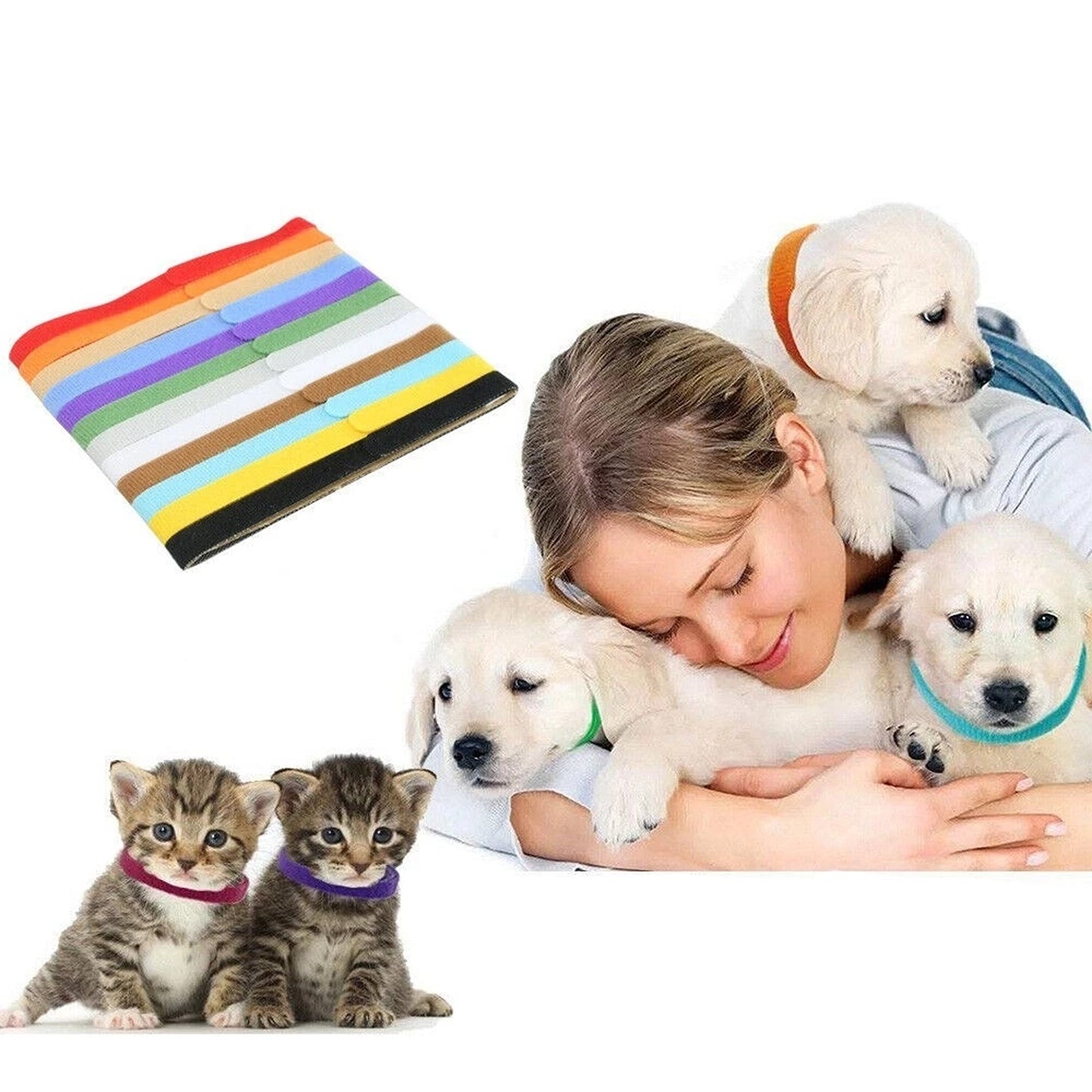 12 Piece Puppy and Kitten ID Collar Band Set
