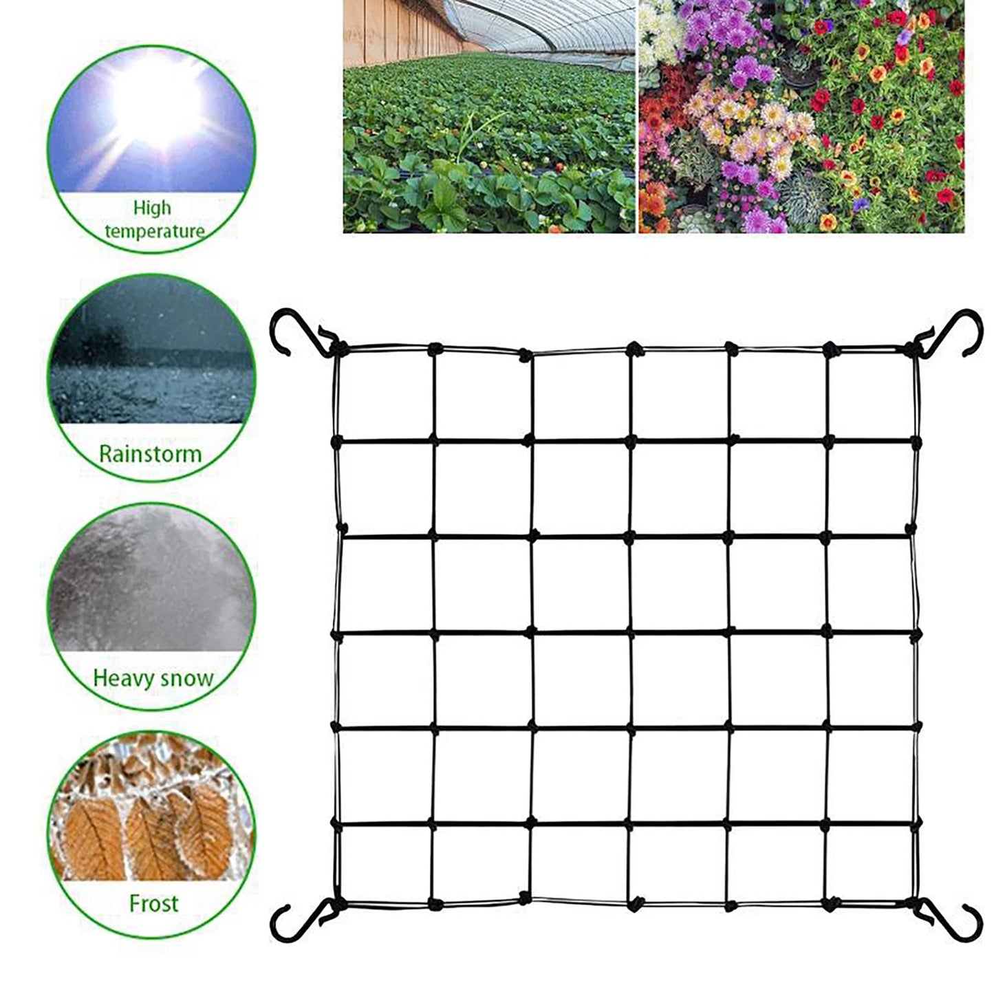 Elastic Trellis Net with Hooks for Grow Tents - 60 x 60cm