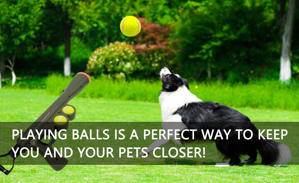 Pet Dogs Outdoor Playing Tennis Ball Launcher Toy