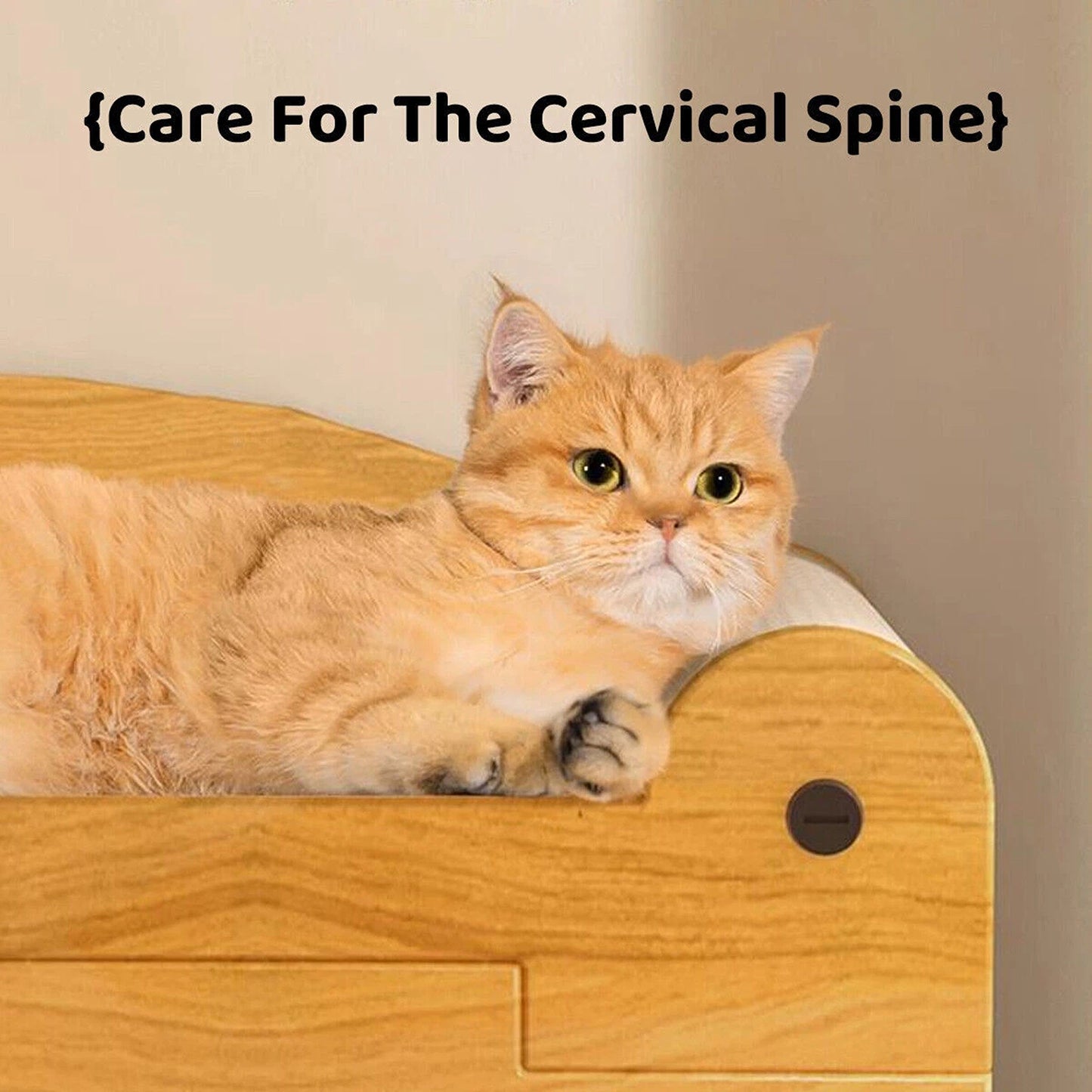 Cat Scratching Board and House All in One Wear Resistant Toy
