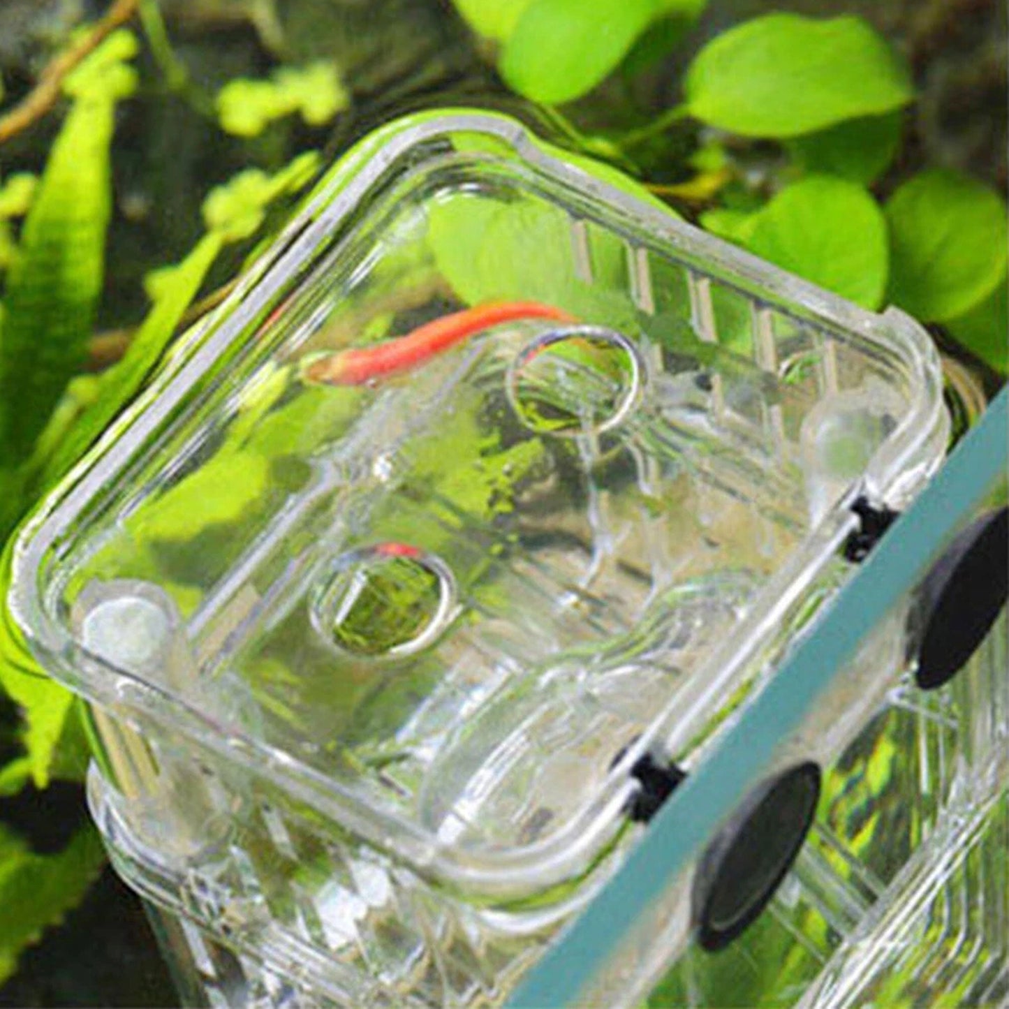 Multifunction Aquarium Fish Breeding and Isolation Box