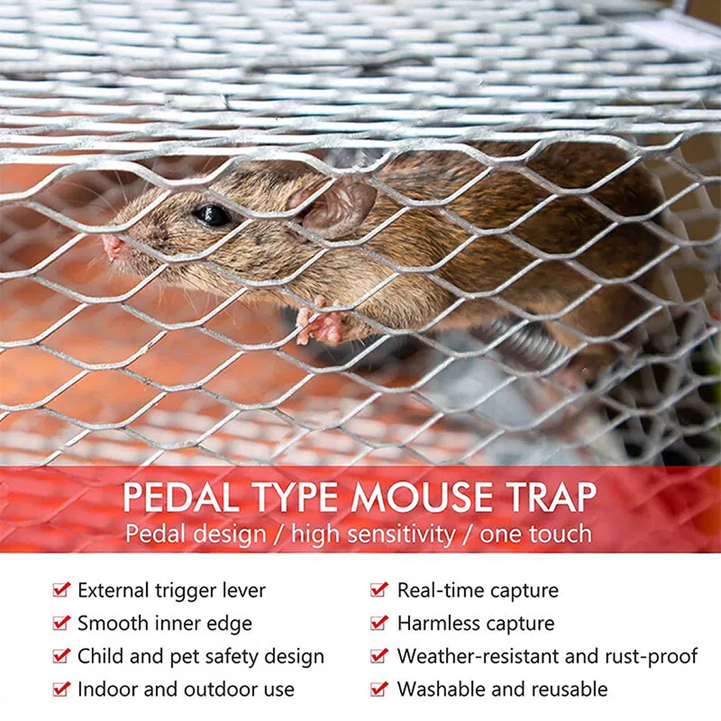 Humane Rat Trap Cage Live Animal Catch Box for Mice and Rodent Control