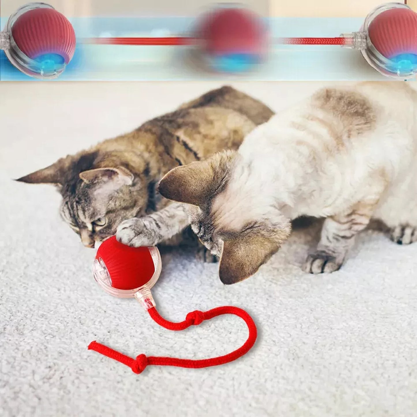 Automatic Rolling Ball Toy for Cats and Dogs Electric Pet Toy