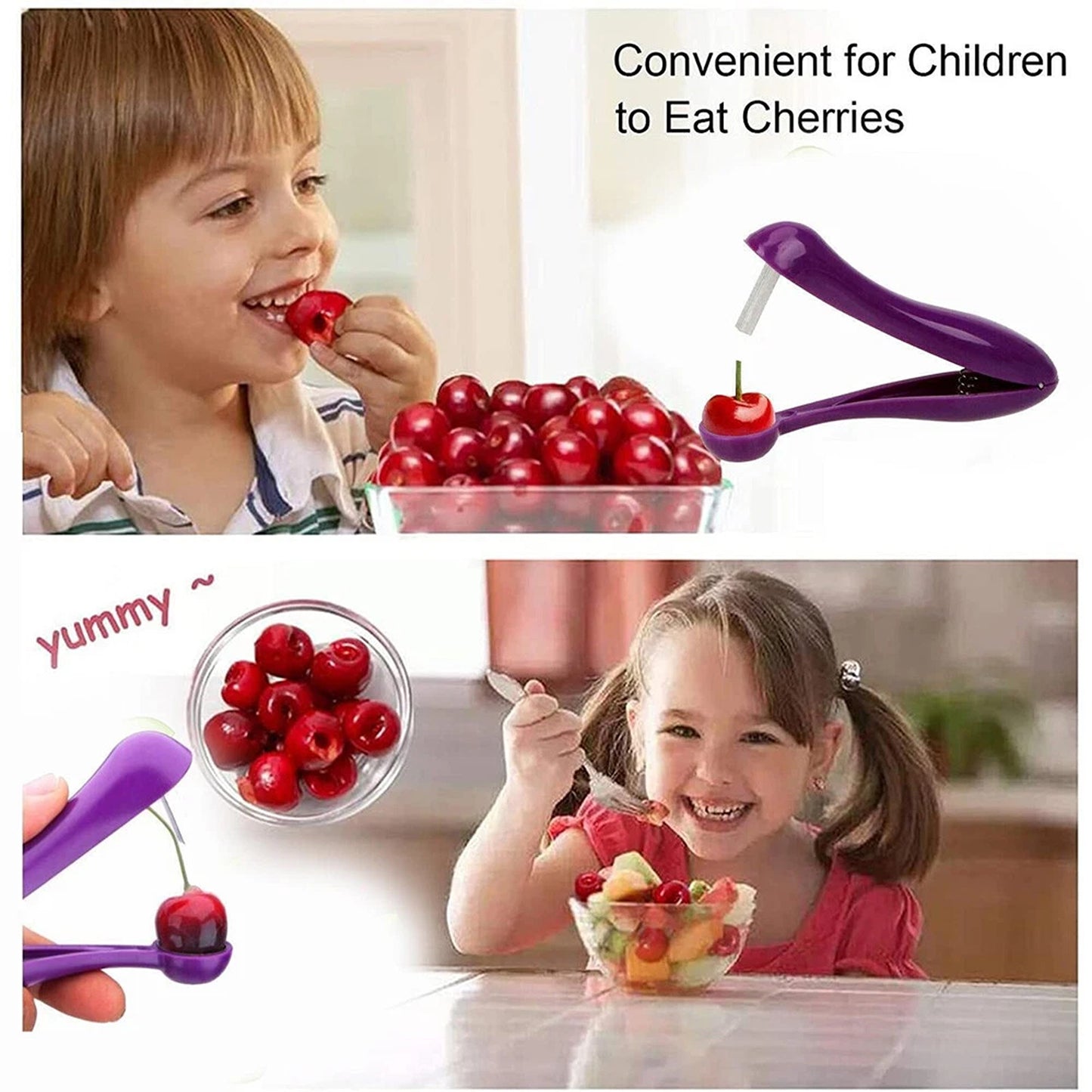 Cherry Seed Remover Stainless Steel Olive and Fruit Pitter Tool