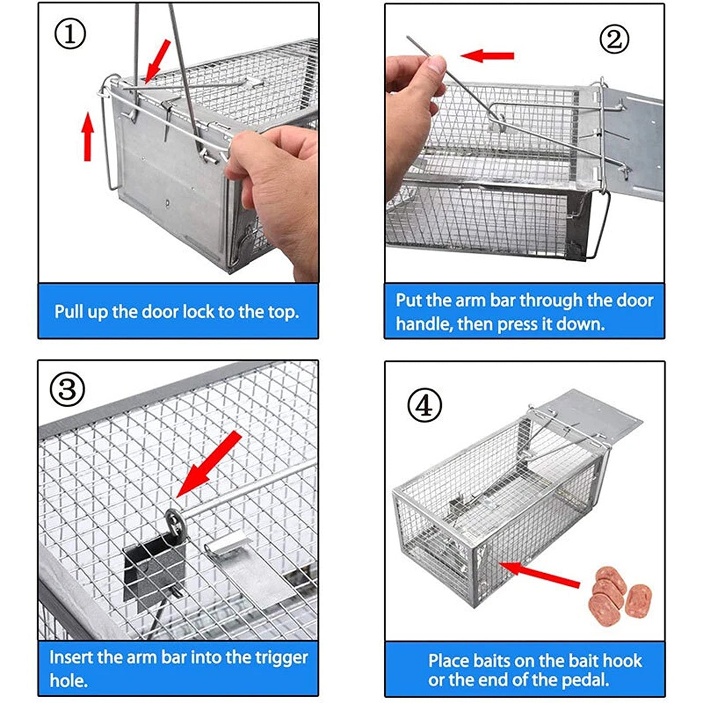 Humane Rat Trap Cage Live Animal Catch Box for Mice and Rodent Control