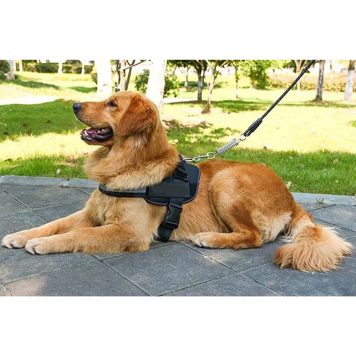 Purple Breathable Vest Harness for Puppies Dogs and Cats