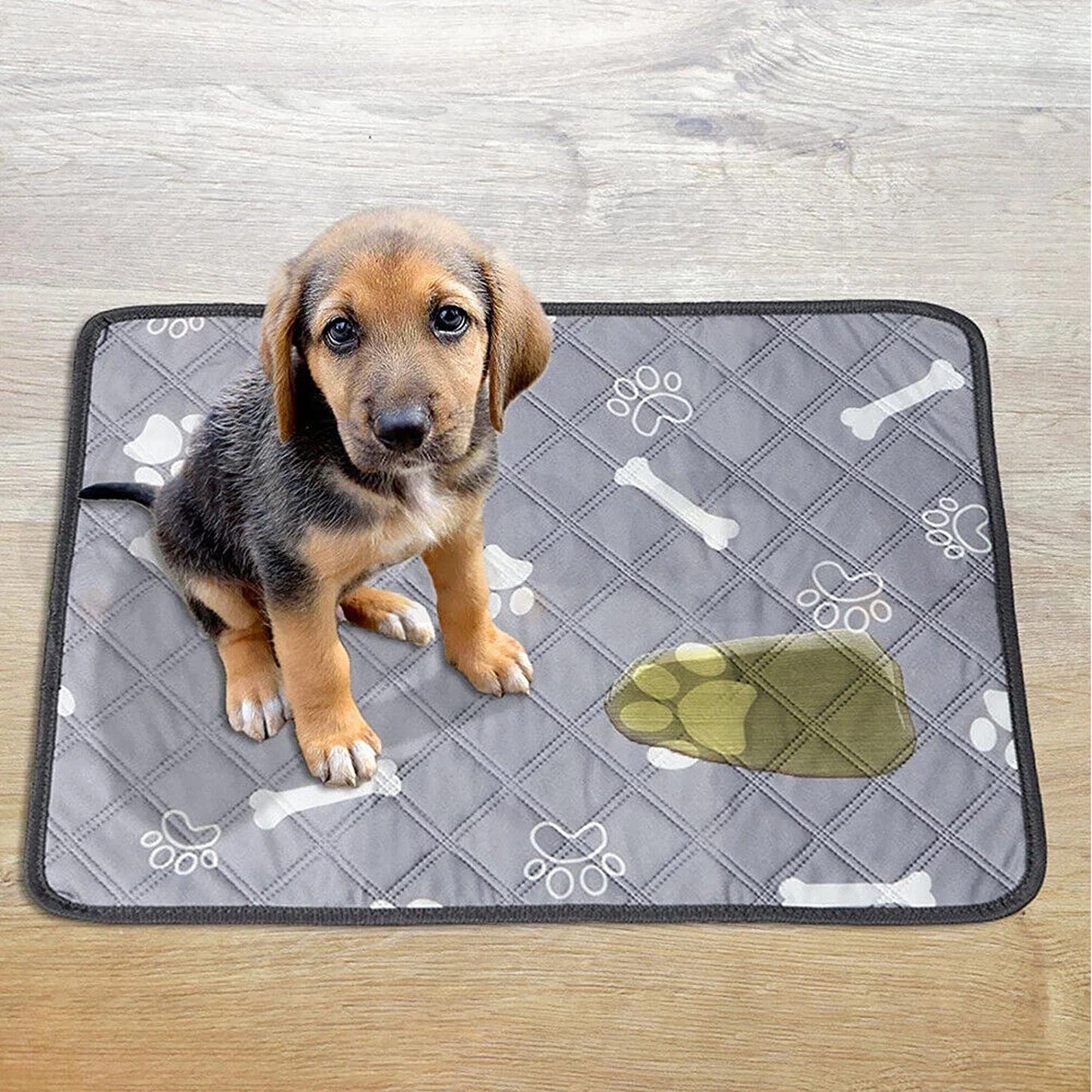 Pet Training Pad Washable Reusable Mat for Dogs and Cats