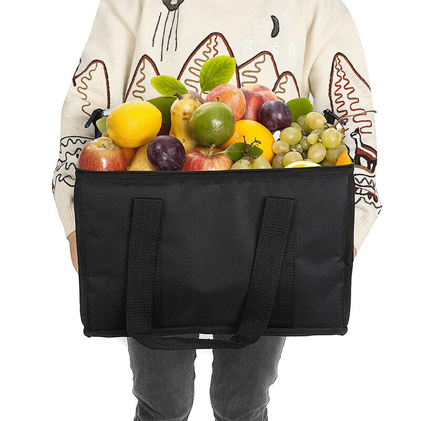 Pizza Insulated Thermal Delivery Bag