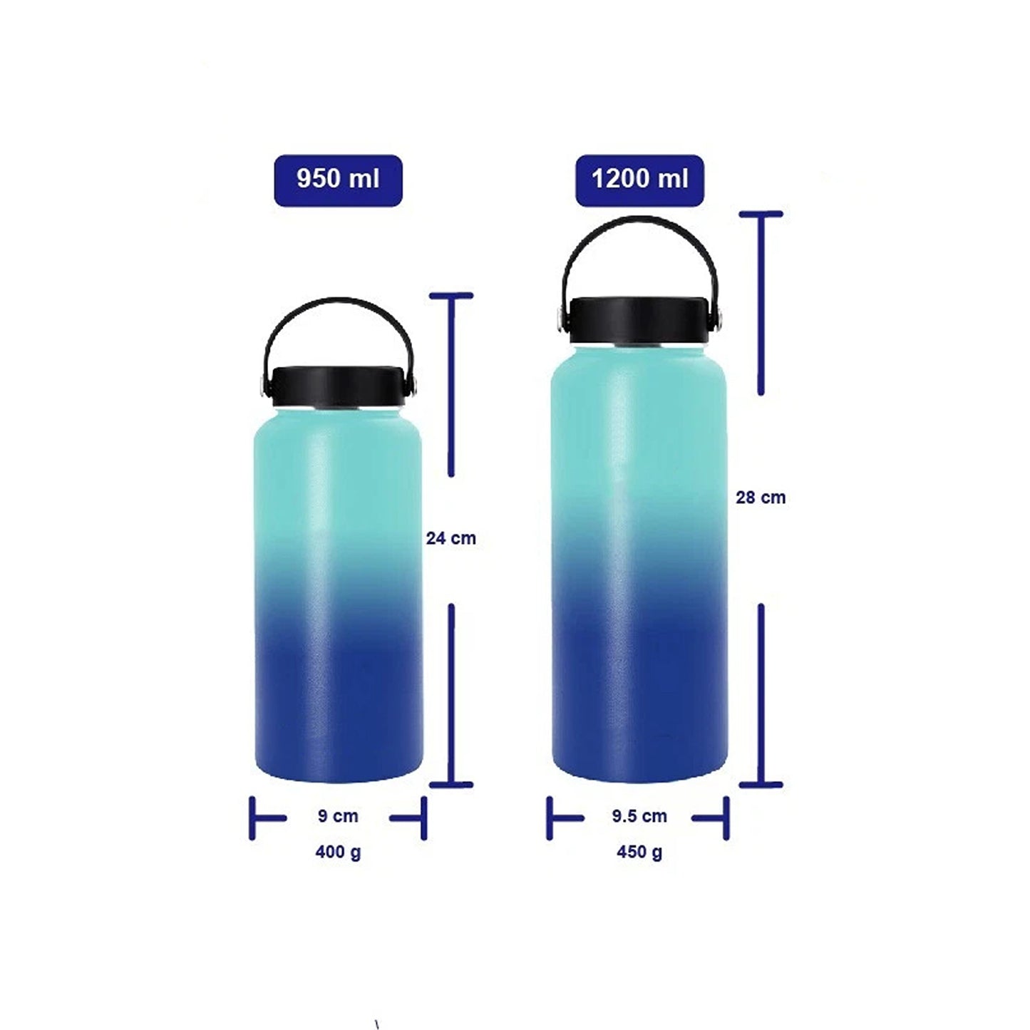 Stainless Steel Insulated Water Bottle with BPA Free Lid - Ocean