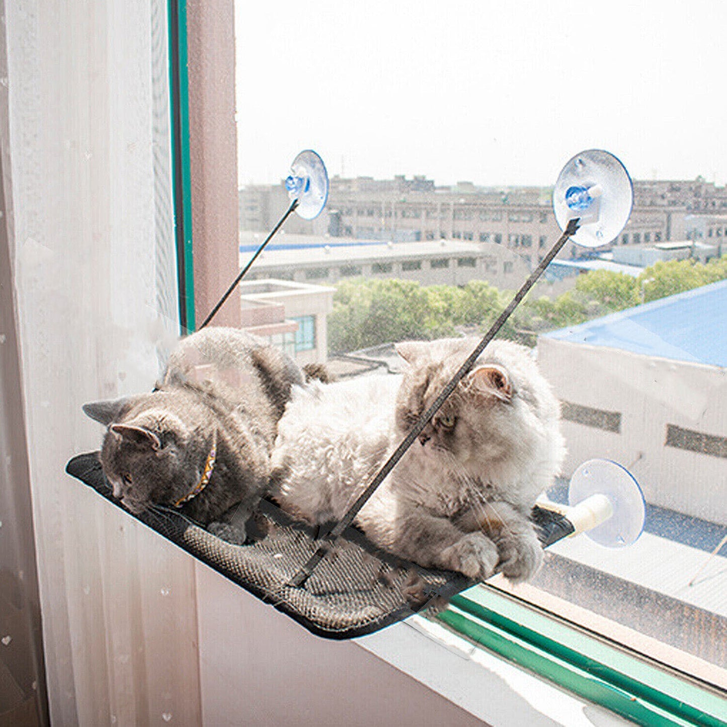 Cat Window Hammock Hanging Bed Up to 26kg