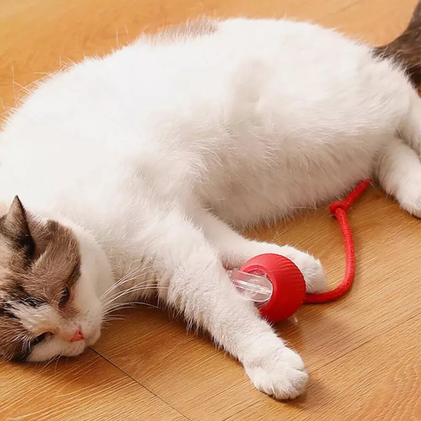 Automatic Rolling Ball Toy for Cats and Dogs Electric Pet Toy