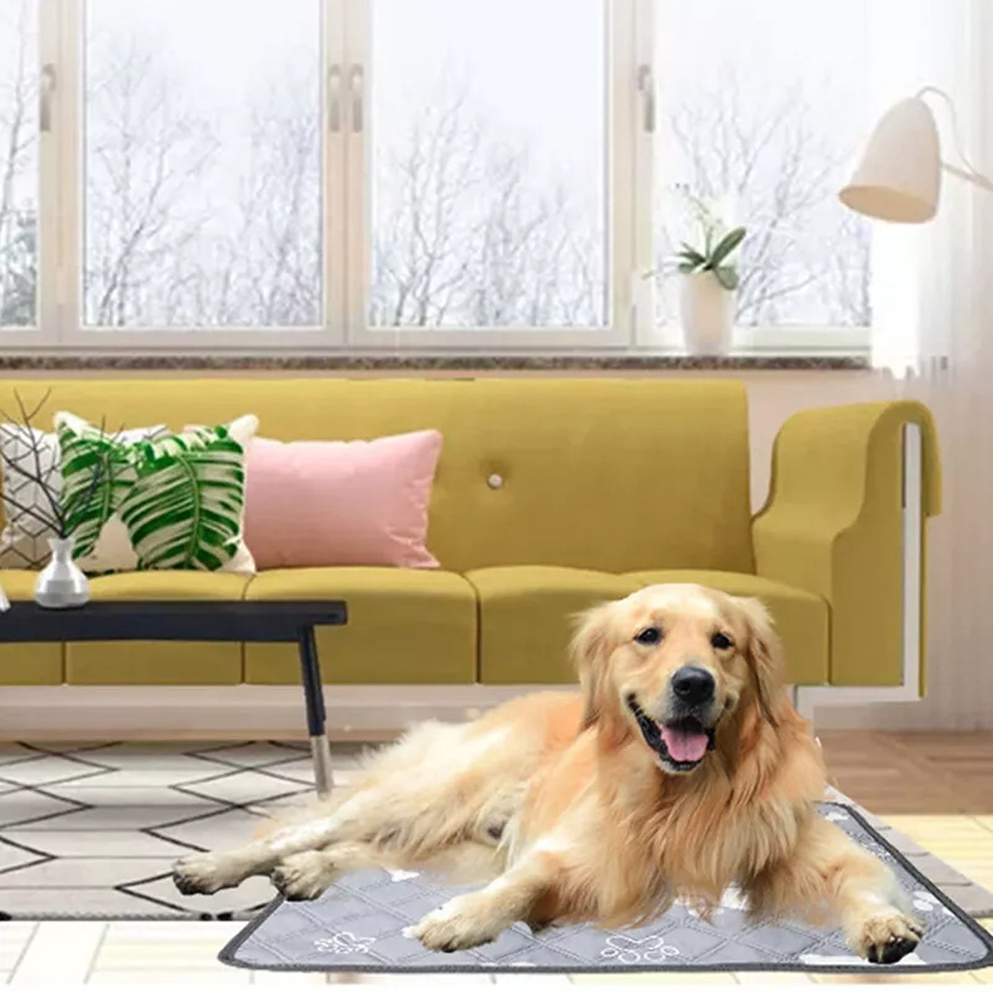 Pet Training Pad Washable Reusable Mat for Dogs and Cats