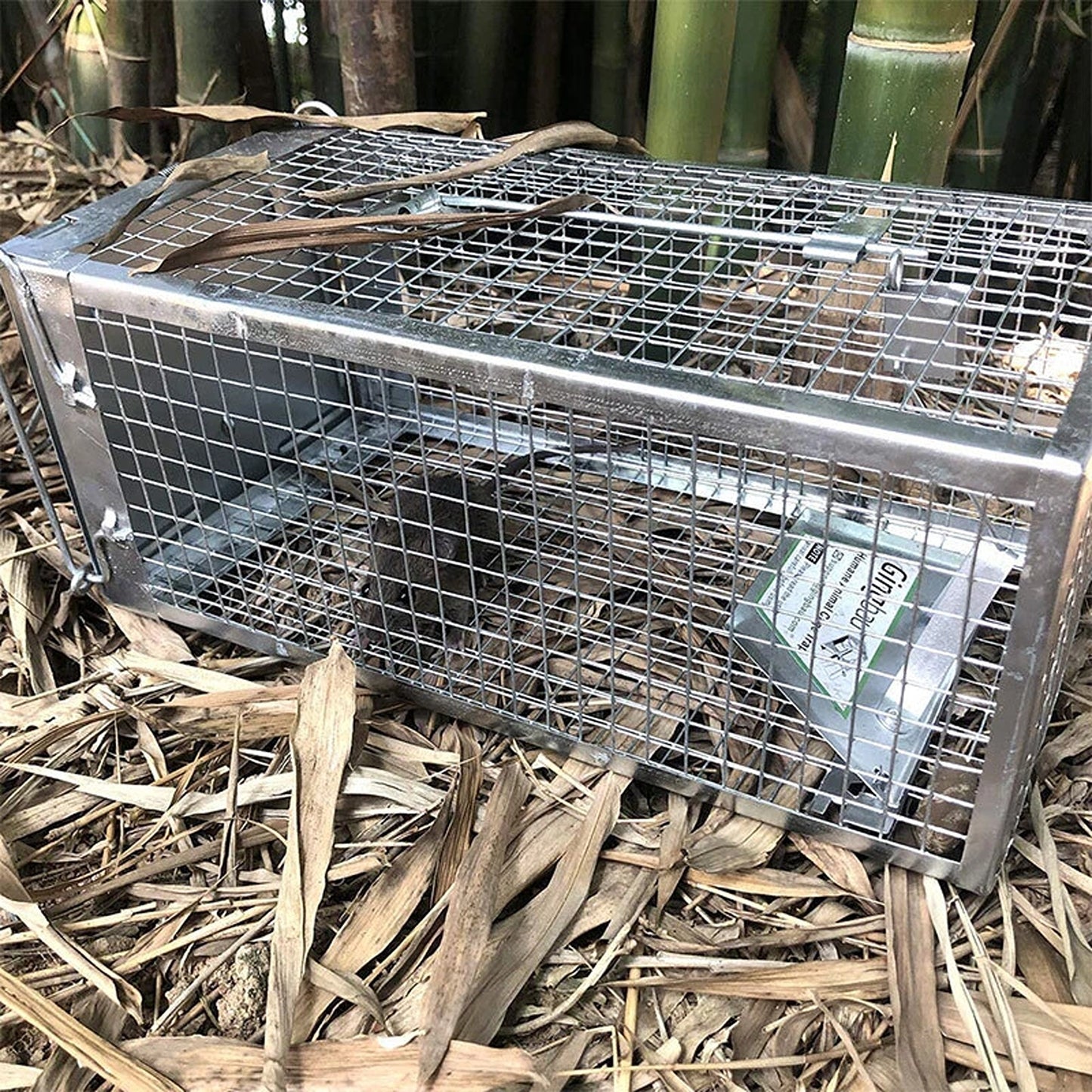 Humane Rat Trap Cage Live Animal Catch Box for Mice and Rodent Control