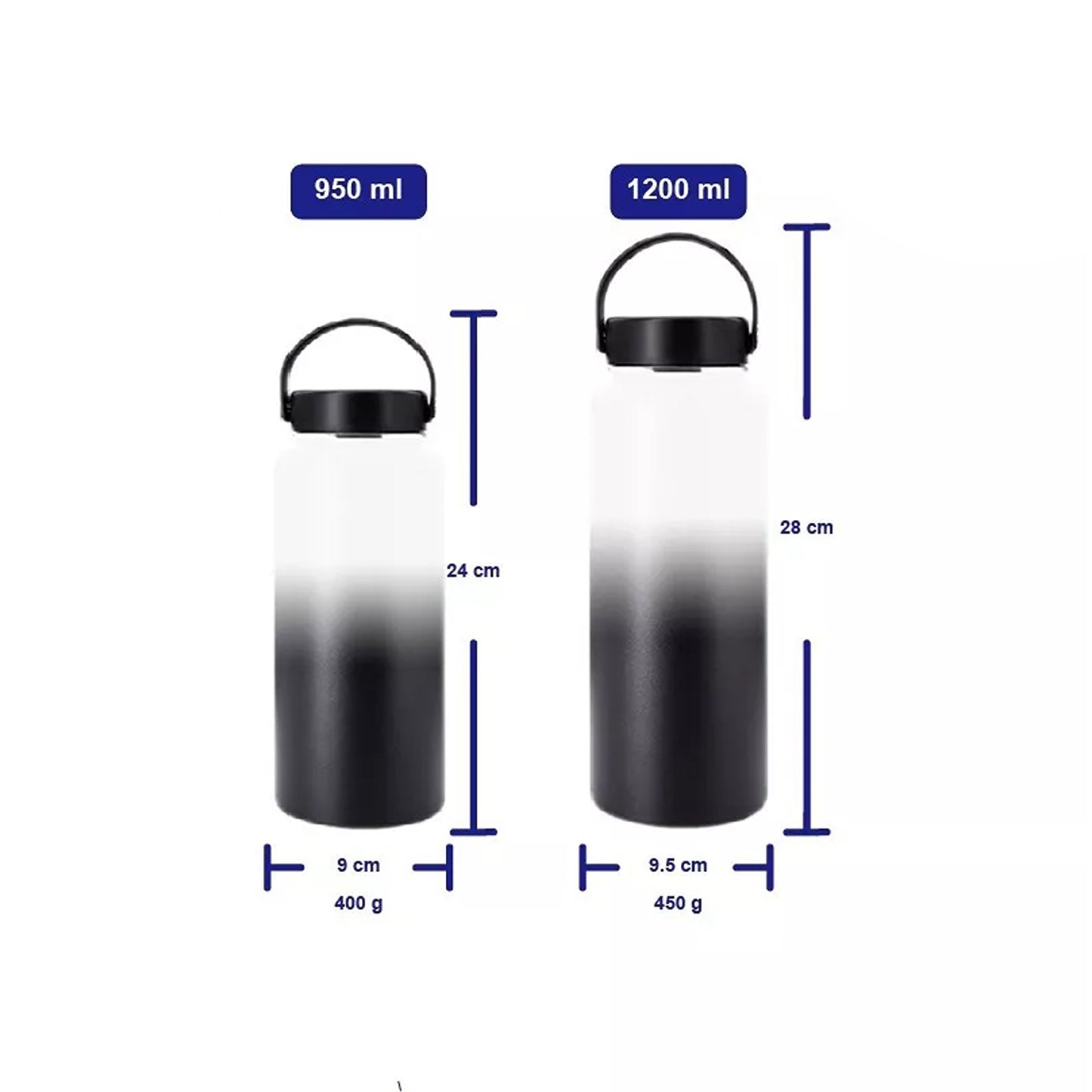 Stainless Steel Insulated Water Bottle with BPA Free Lid - Orcas