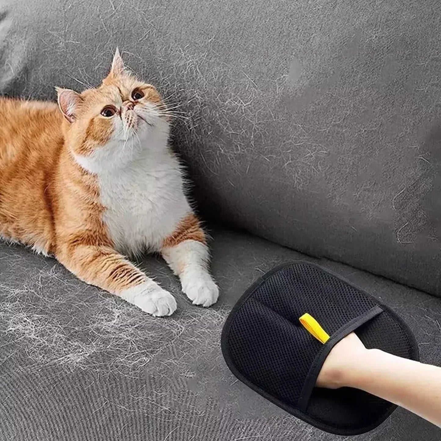 Pet Hair Remover Glove for Easy Grooming