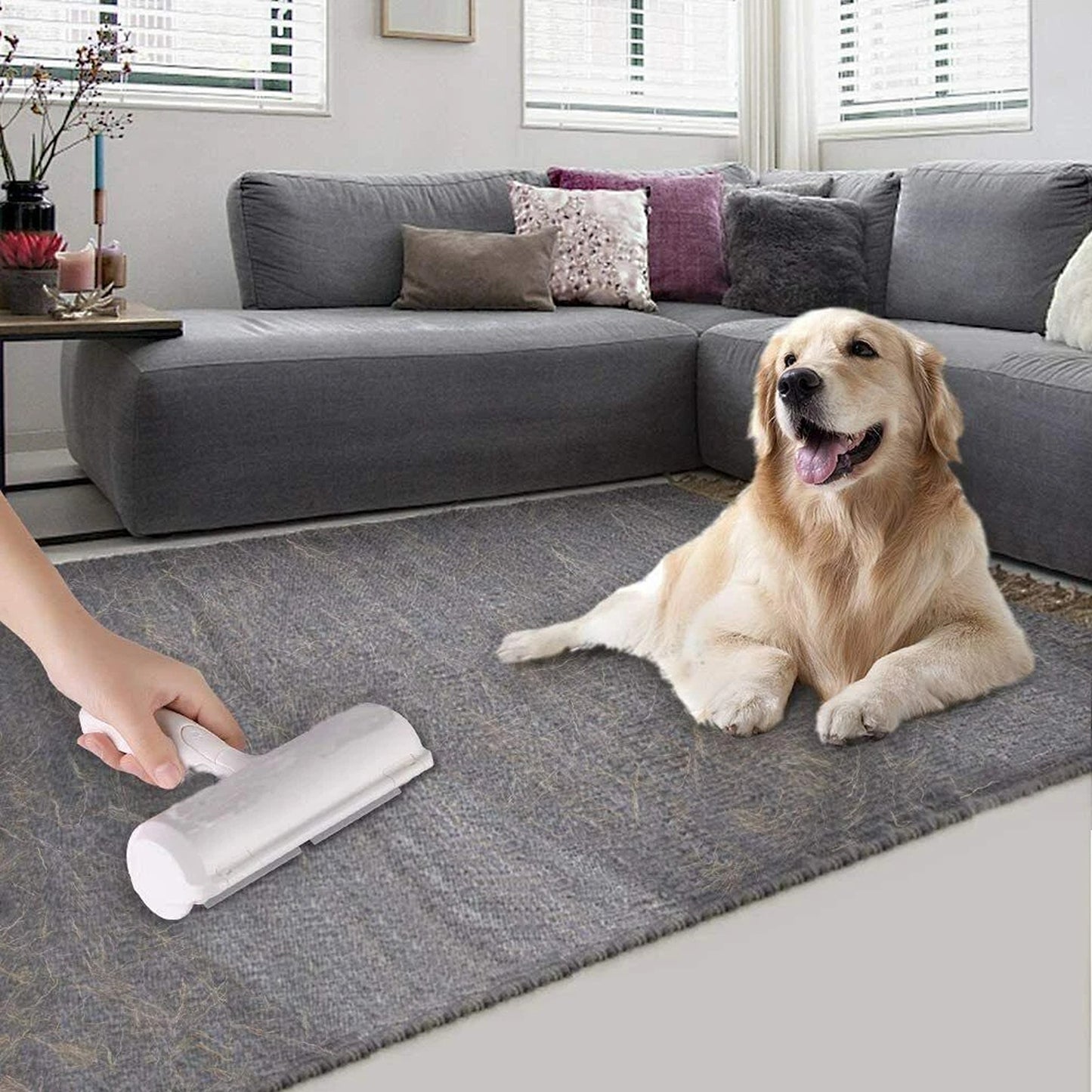 Pet Hair Remover Brush for Dog and Cat Fur Self Cleaning