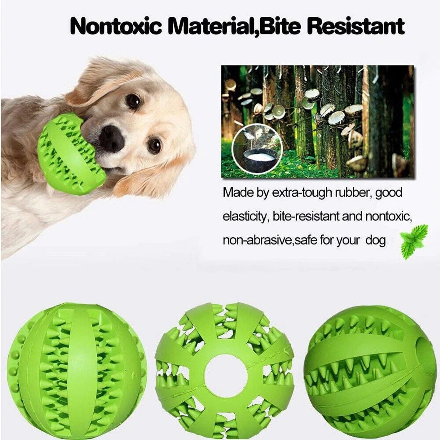 Green Dog Training Play Toy with Treat Holder