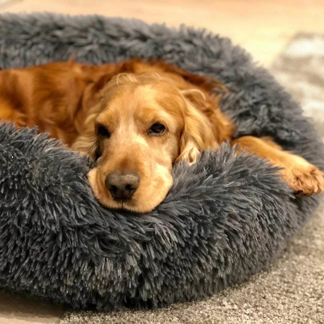 Dark Grey Soft Plush Calming Pet Bed for Dogs and Cats