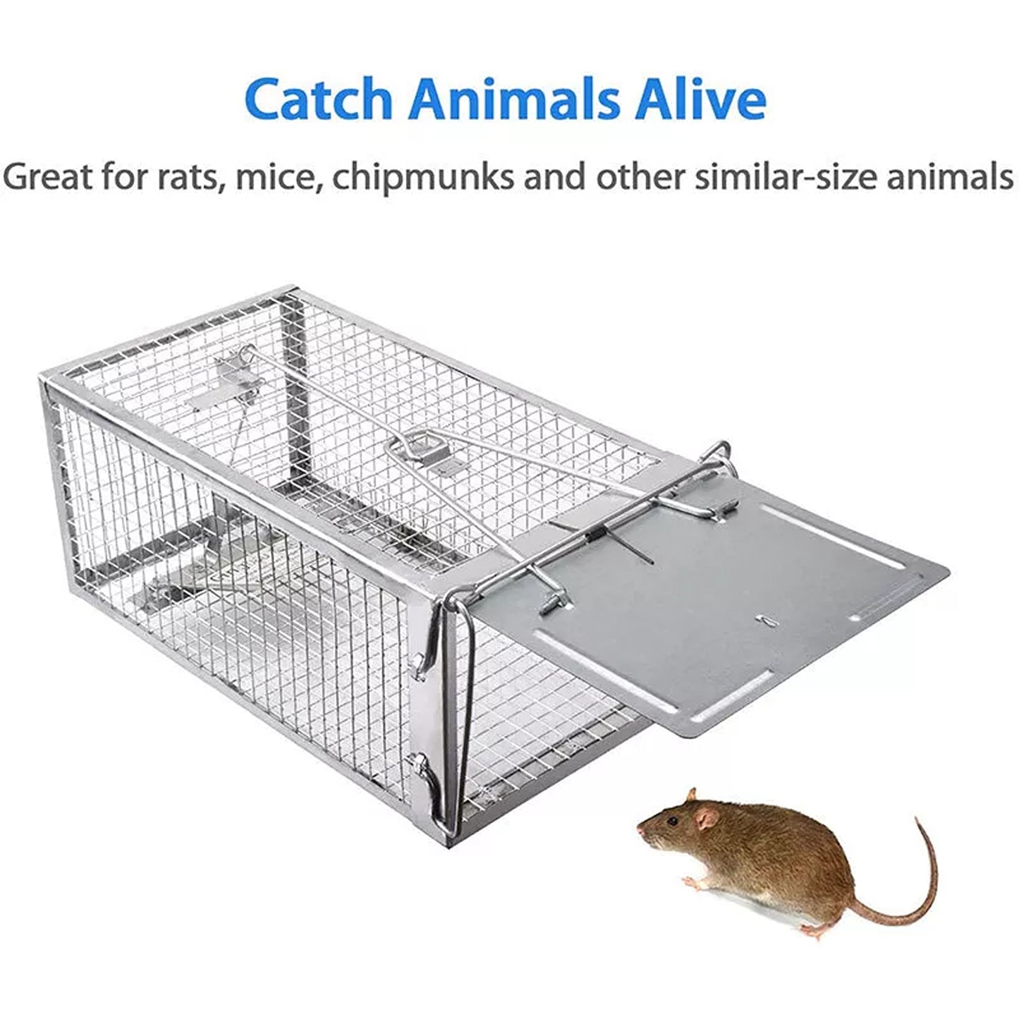 Humane Rat Trap Cage Live Animal Catch Box for Mice and Rodent Control
