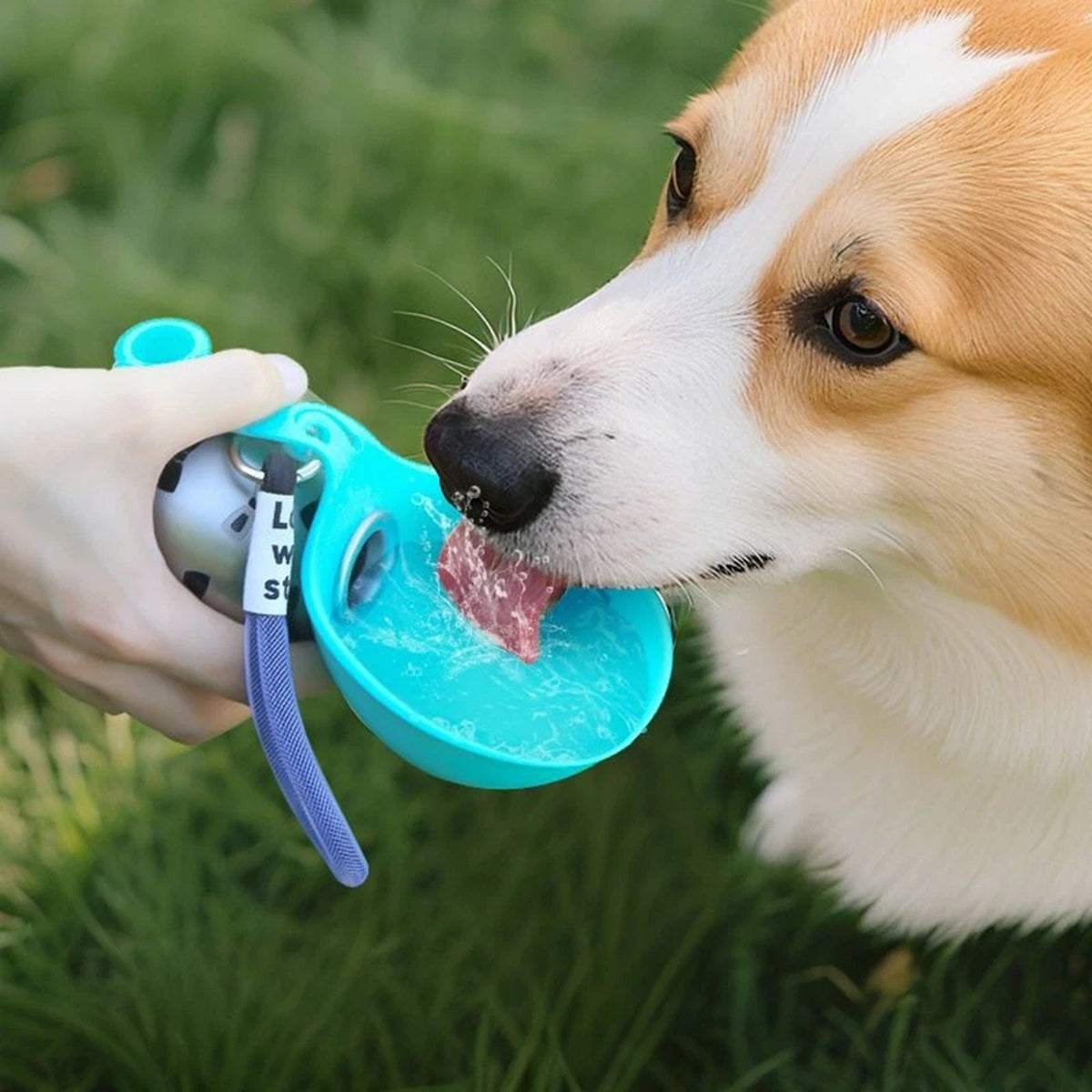 Dog and Cat Water Bottle Portable Travel Feeder Bowl for Outdoor Use