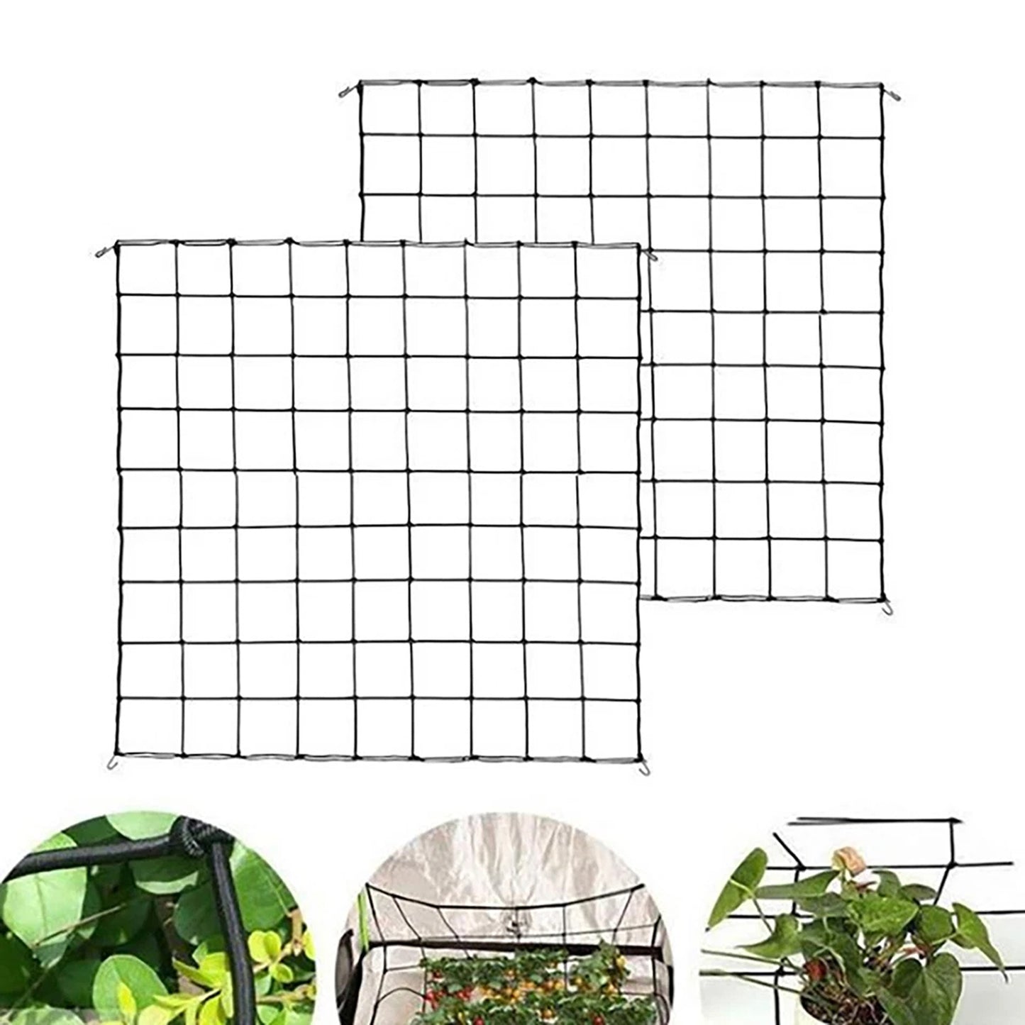 Elastic Trellis Net with Hooks for Grow Tents - 60 x 60cm