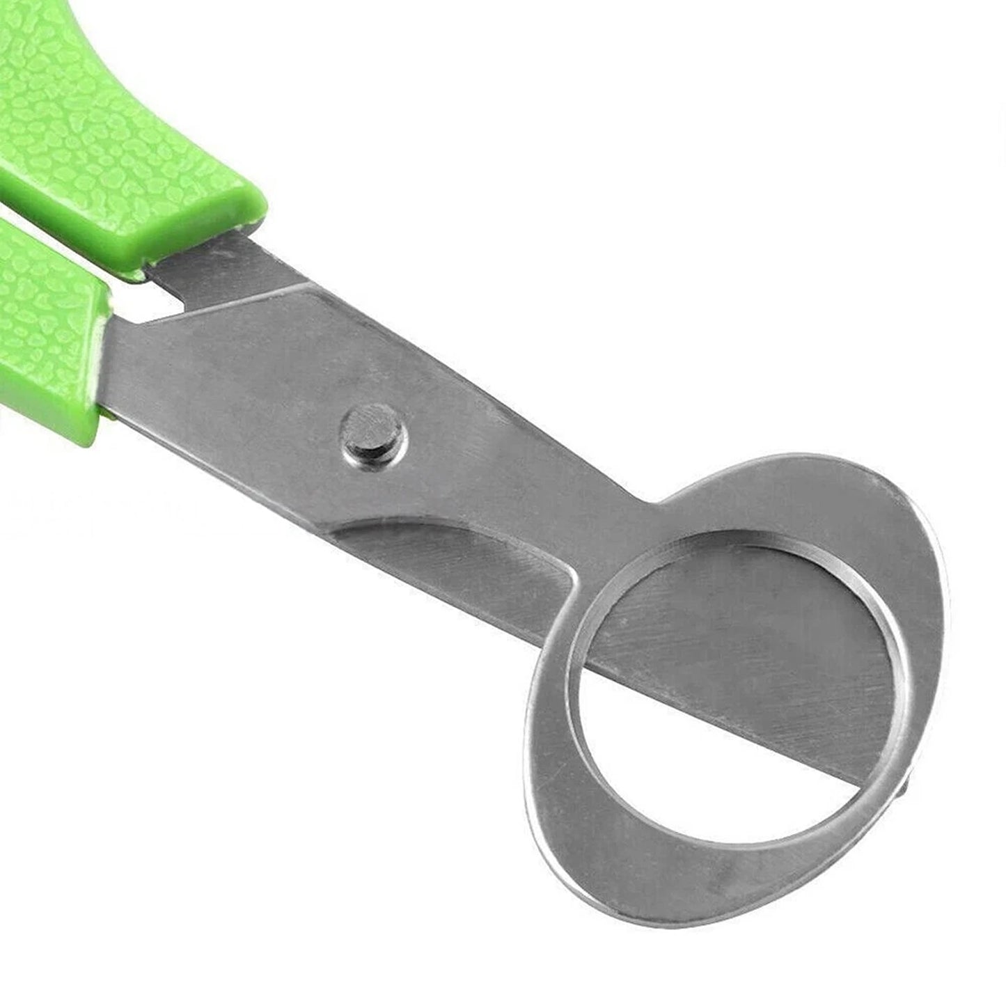 Stainless Steel Pigeon Quail Egg Scissor Birds Eggshell Cut Opener Creative