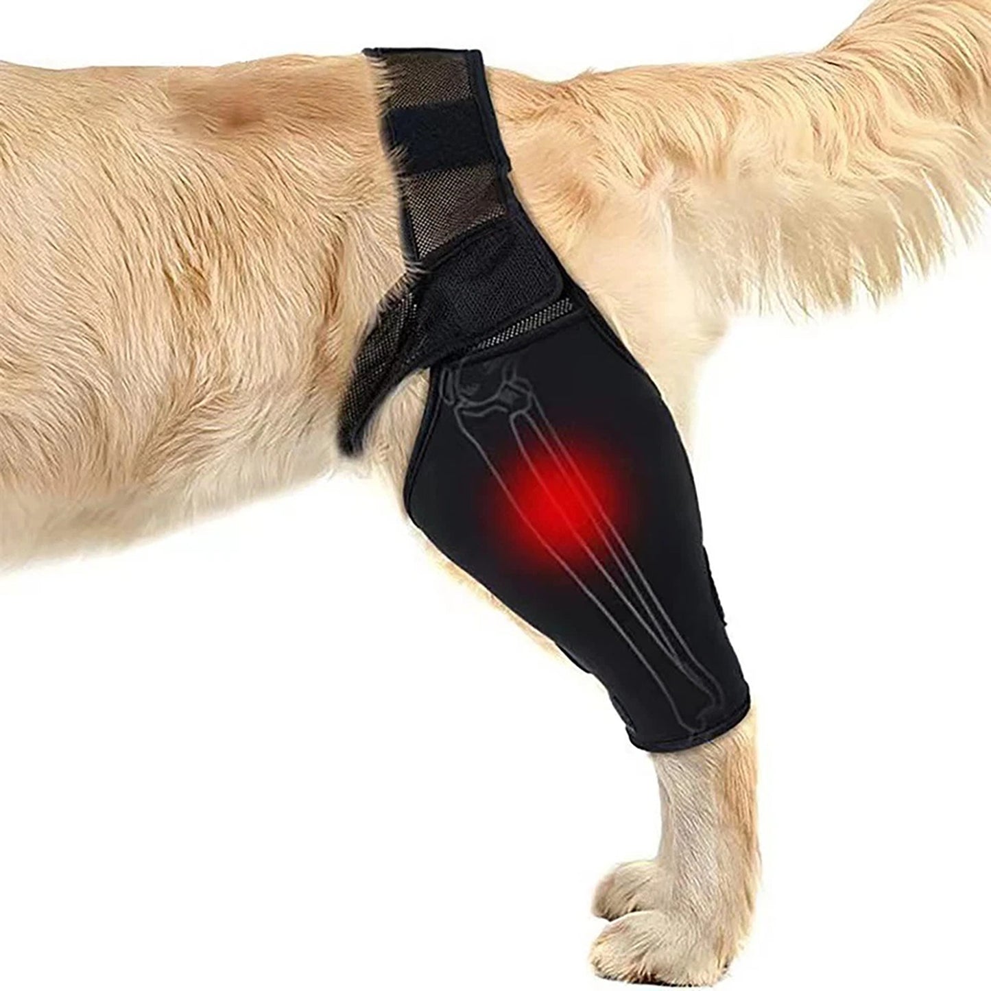 Dog Leg Support Brace for Front and Rear Legs