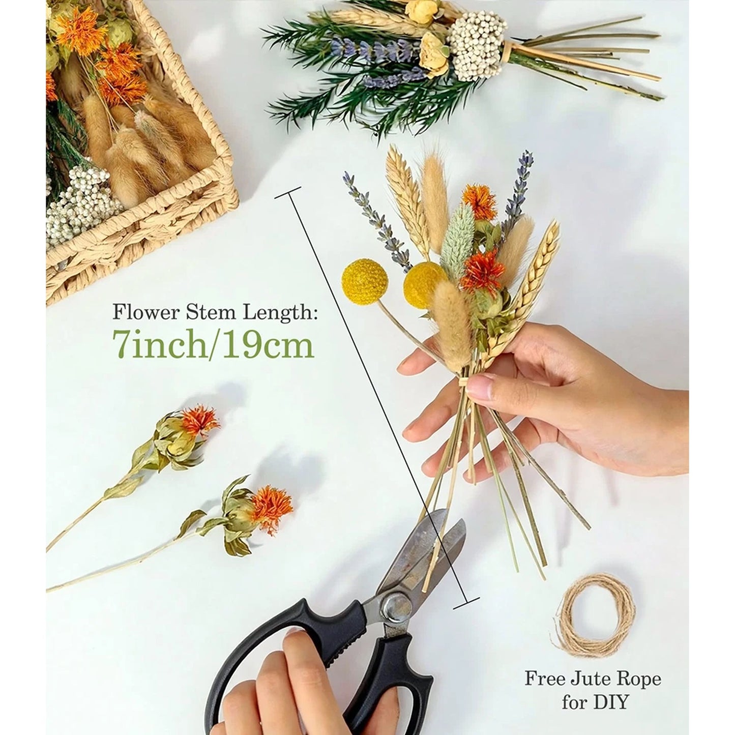 Natural Dried Flower Bouquet with Stems for Home Decor
