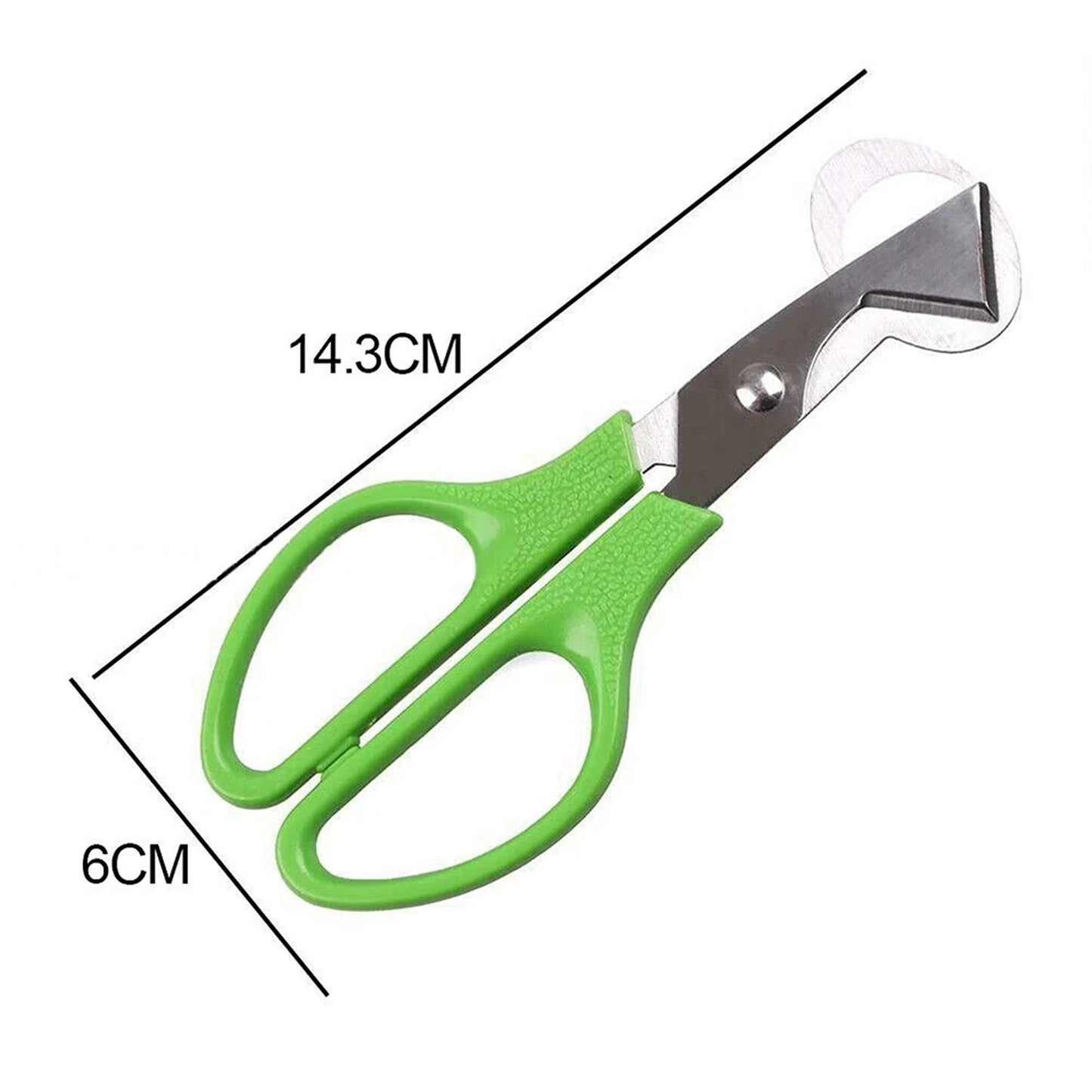 Stainless Steel Pigeon Quail Egg Scissor Birds Eggshell Cut Opener Creative