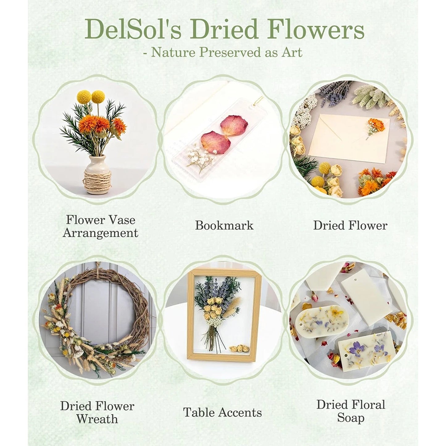 Natural Dried Flower Bouquet with Stems for Home Decor